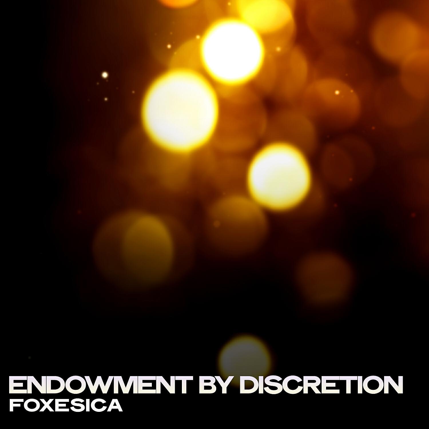 Релиз Endowment by Discretion