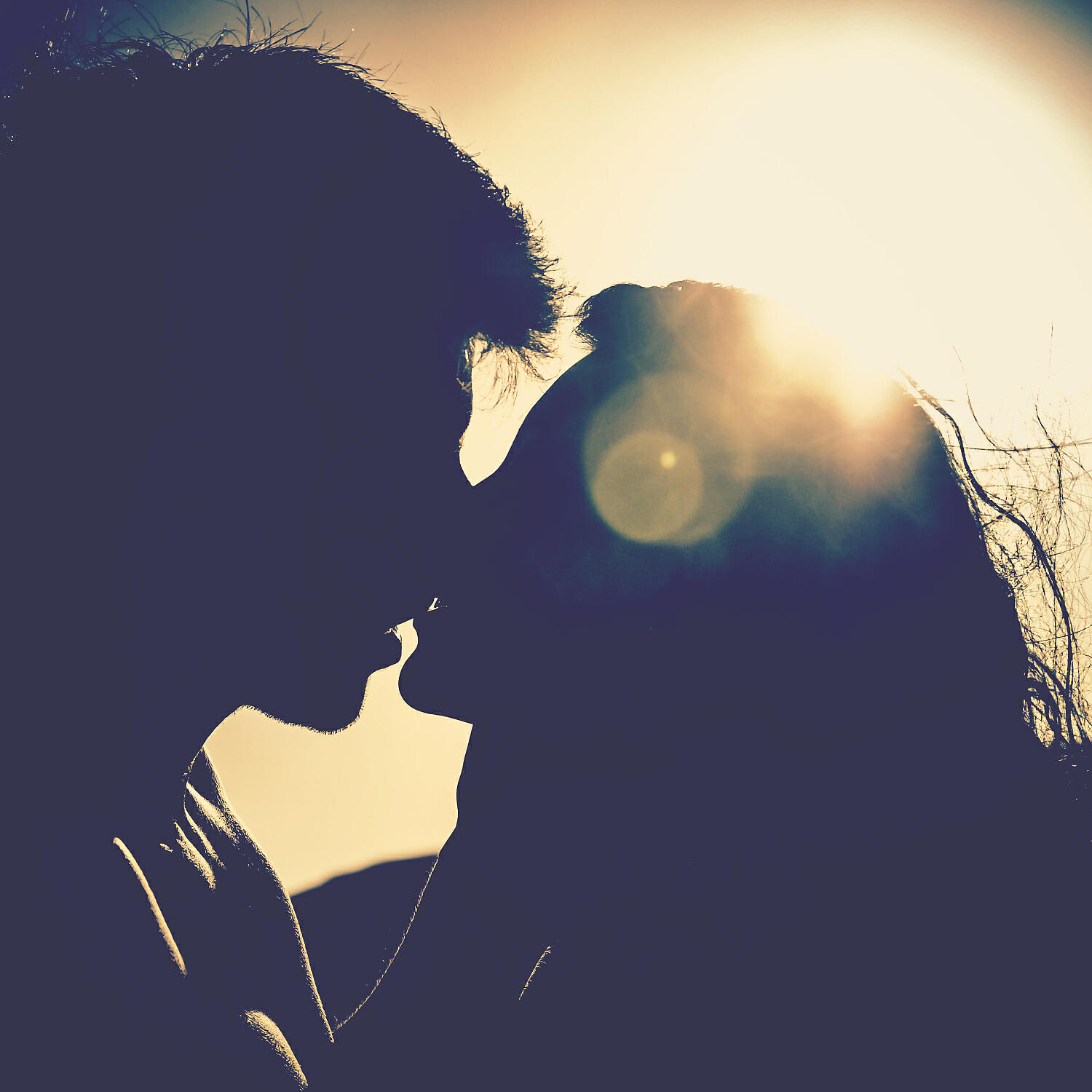 Постер альбома Sensual Love / Amore Sensuale / Sinnliche Liebe / Amour Sensuel / Amor Sensual