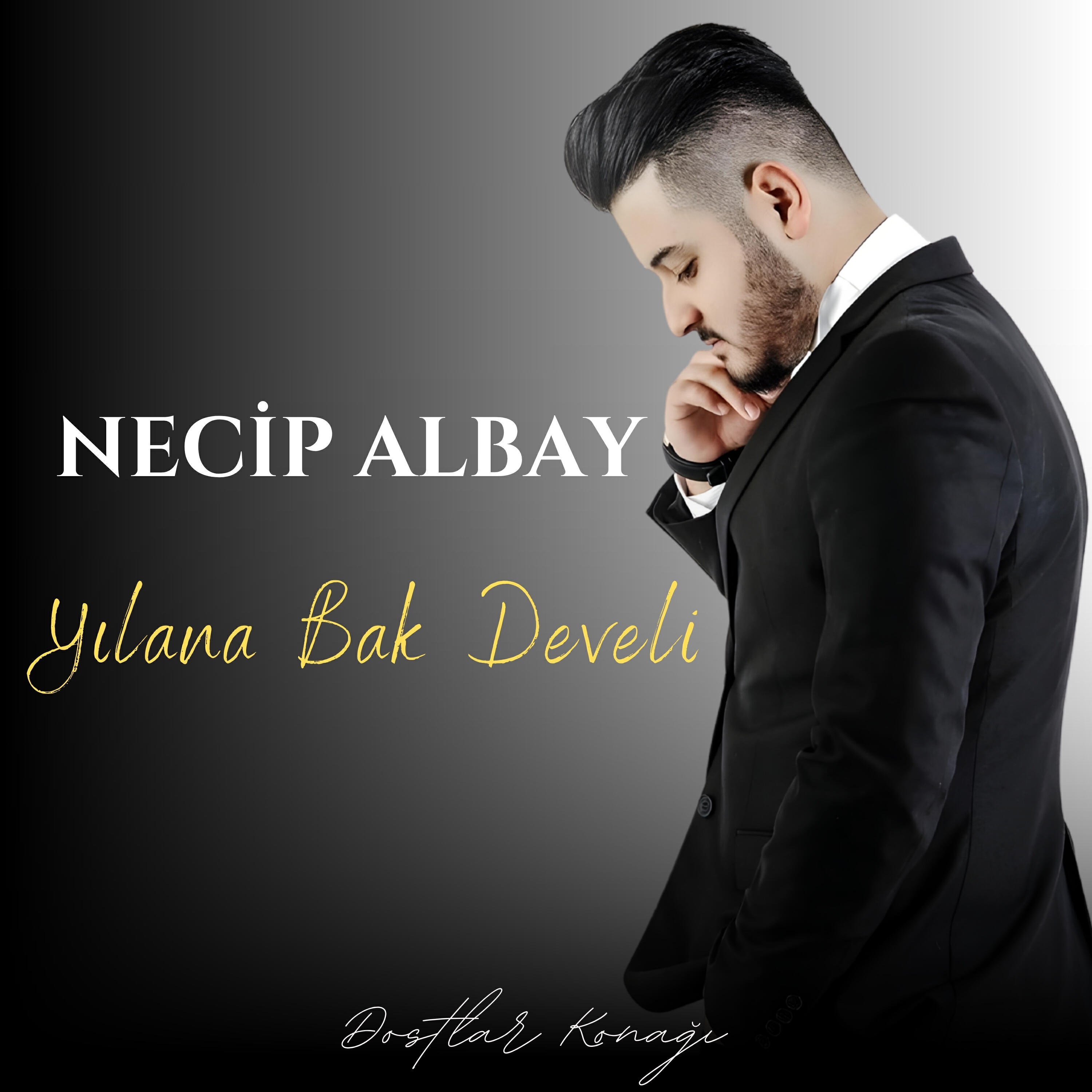 Релиз Yılana Bak Develi