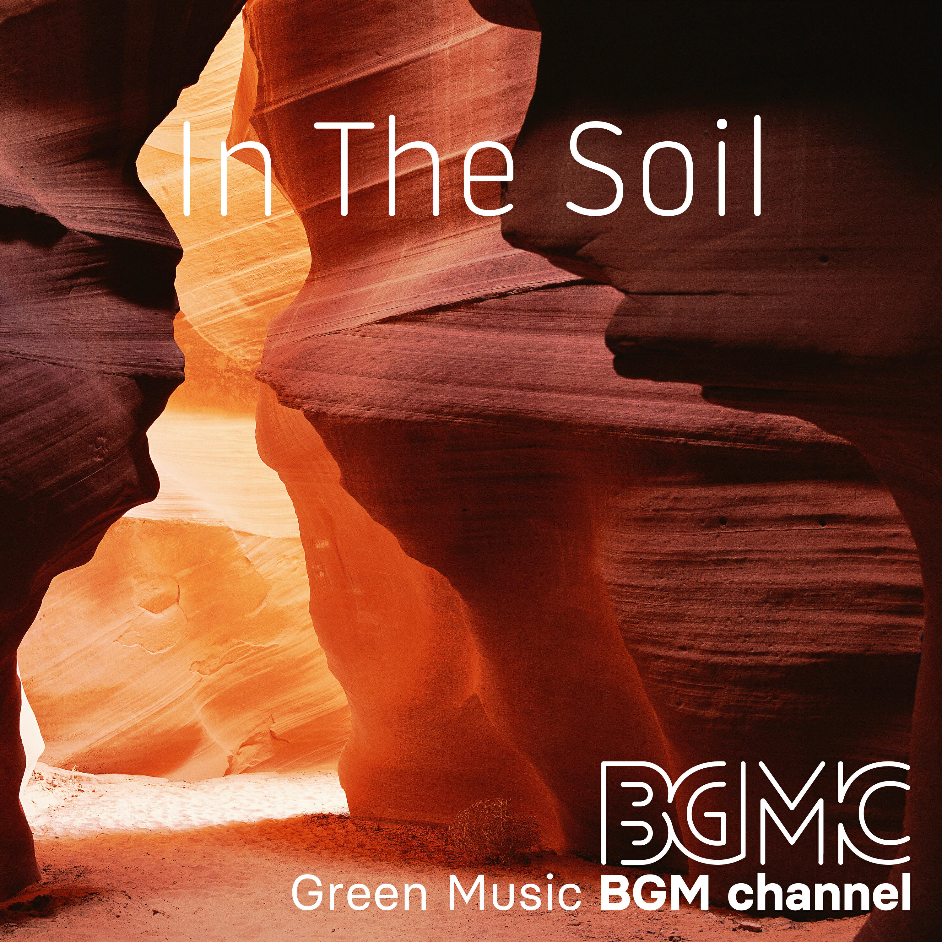 Релиз In The Soil