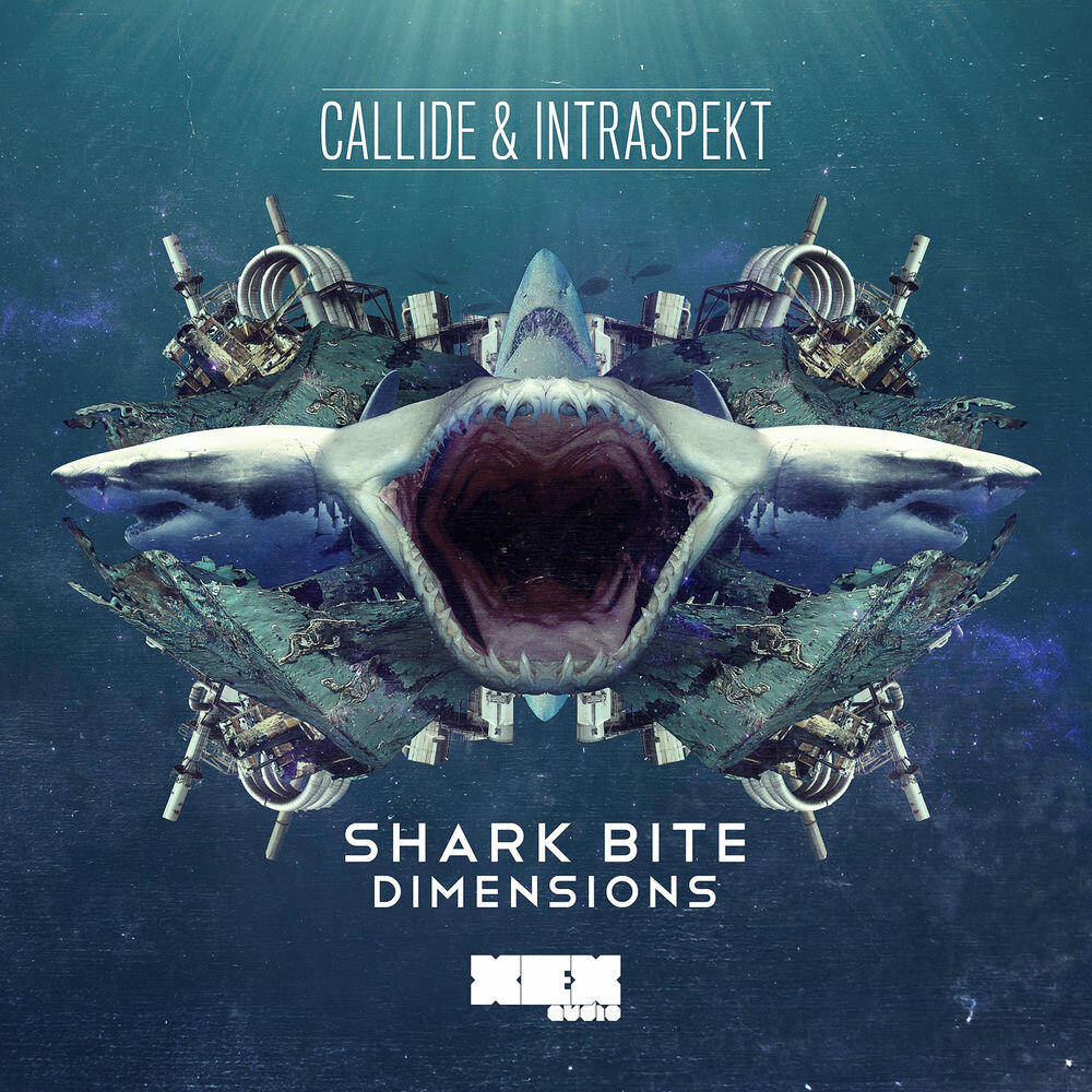 Релиз Shark Bite