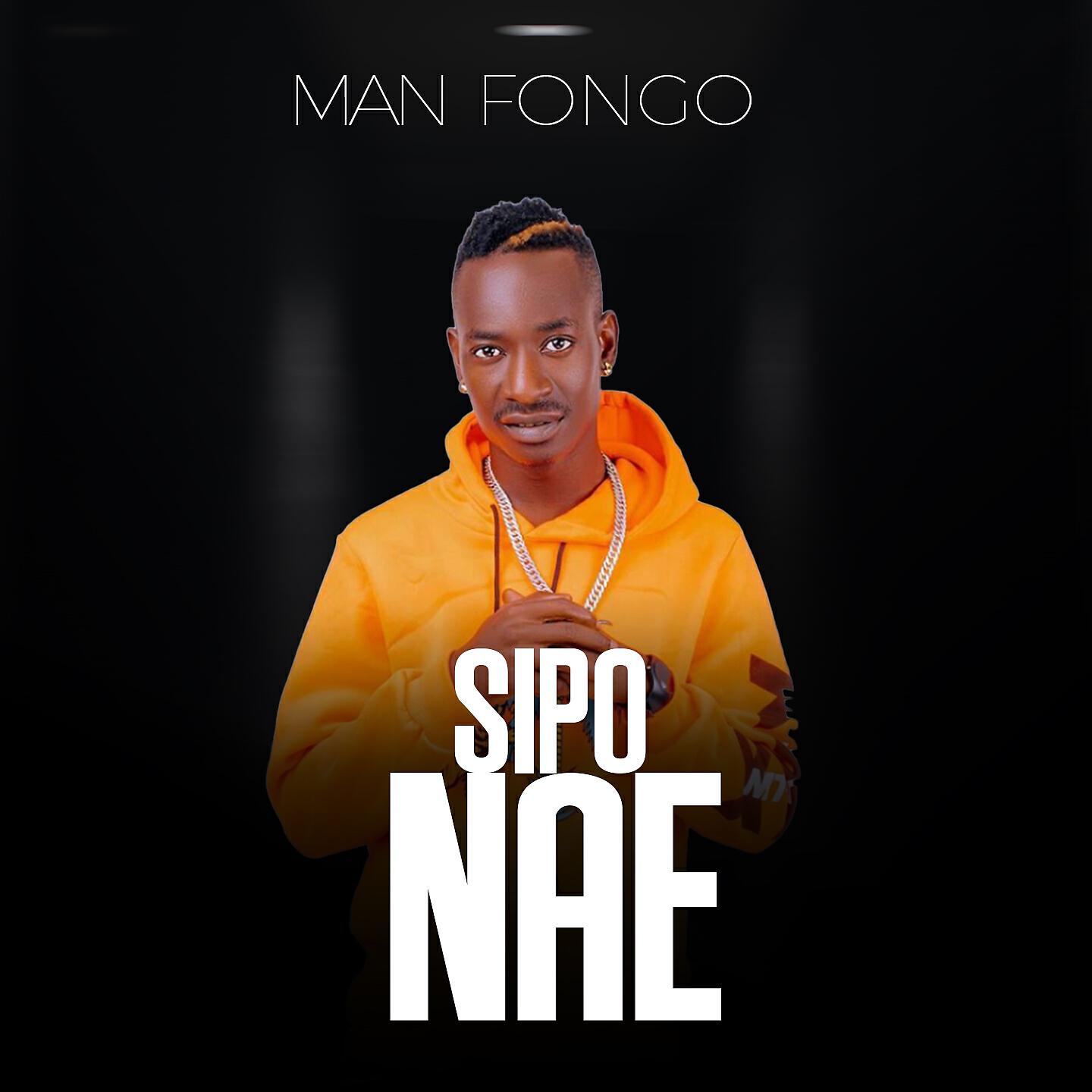 Релиз Sipo Nae