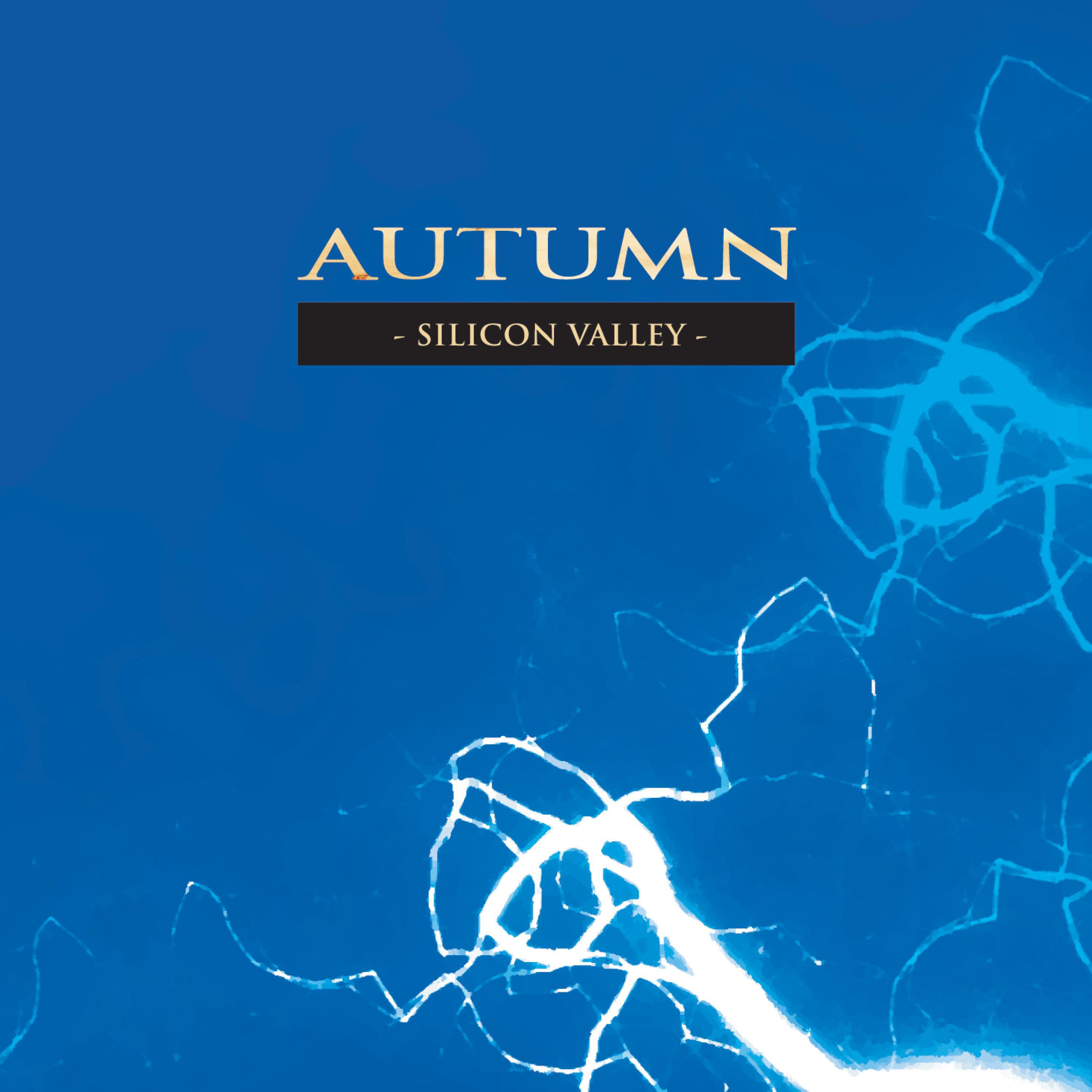 Релиз Silicon Valley