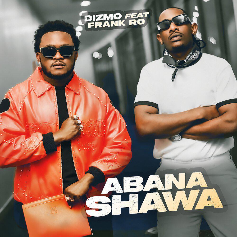 Релиз Abana Shawa
