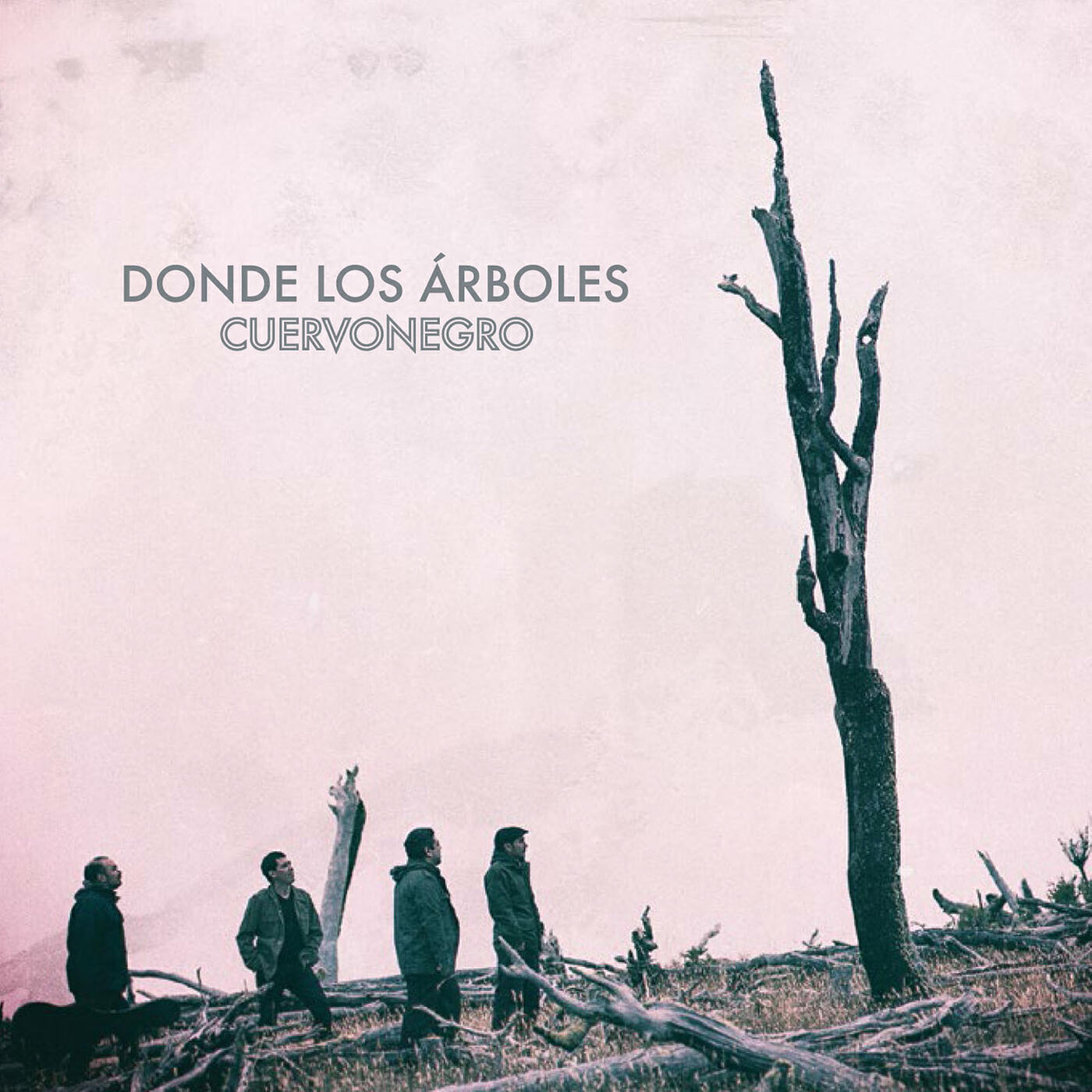 Релиз Donde Los Arboles