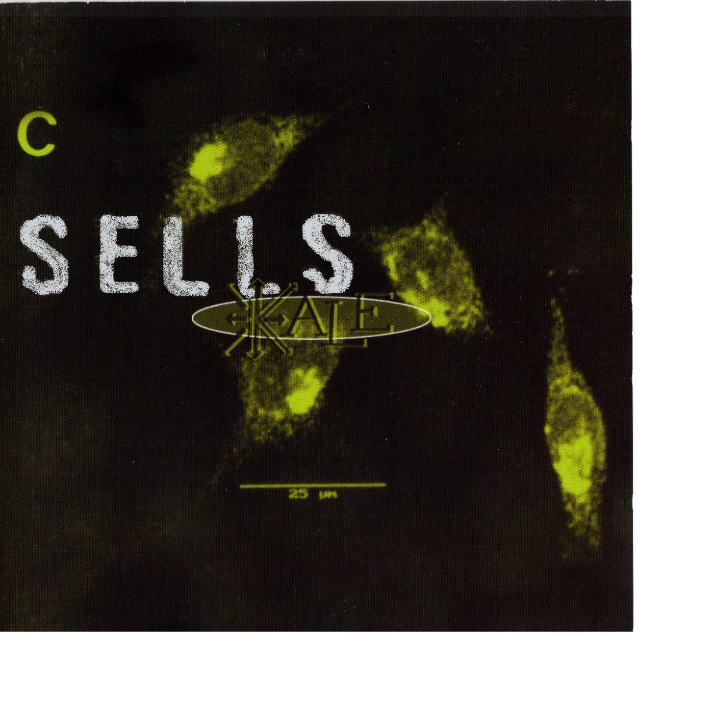 Релиз Sells