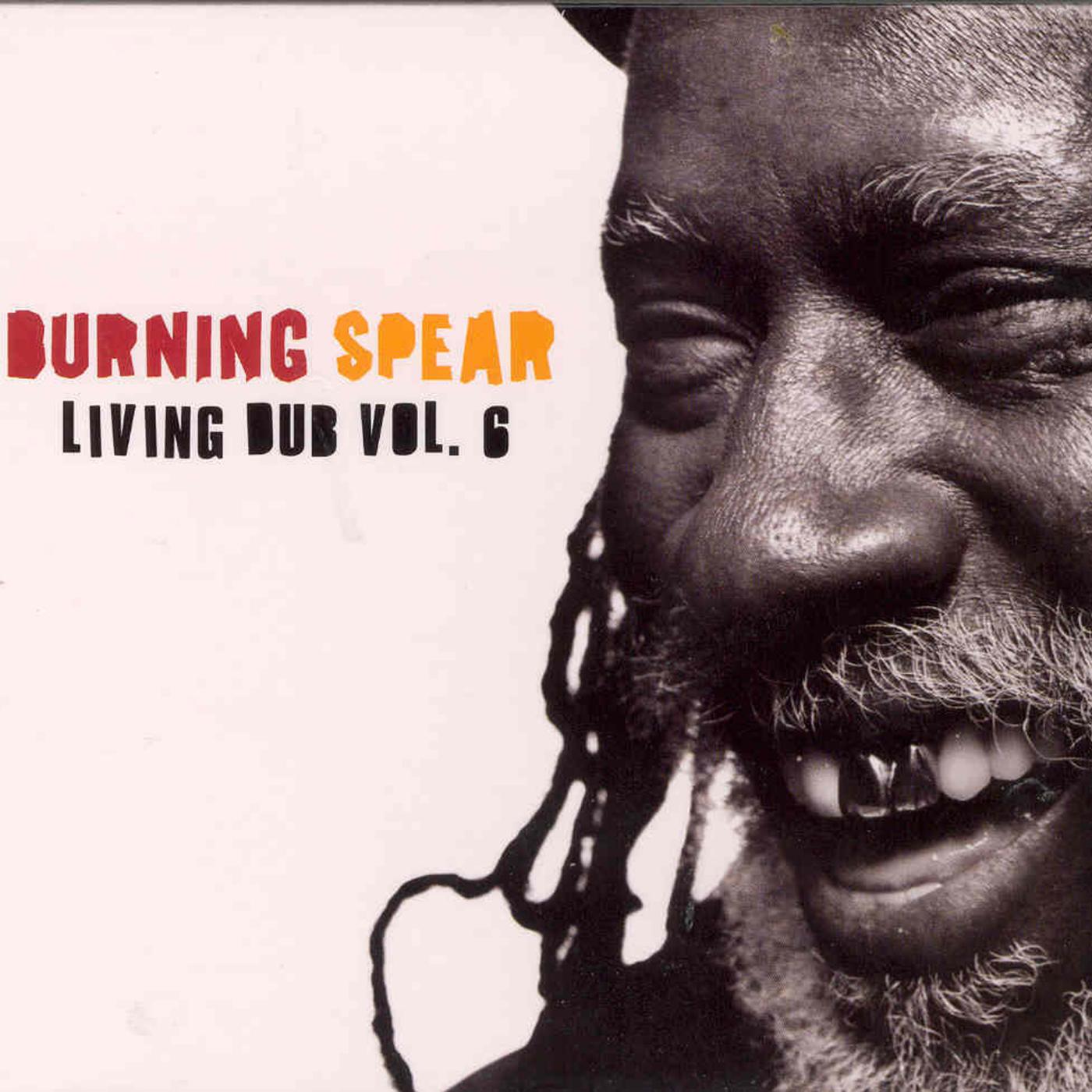 Постер альбома Living Dub VoL.6