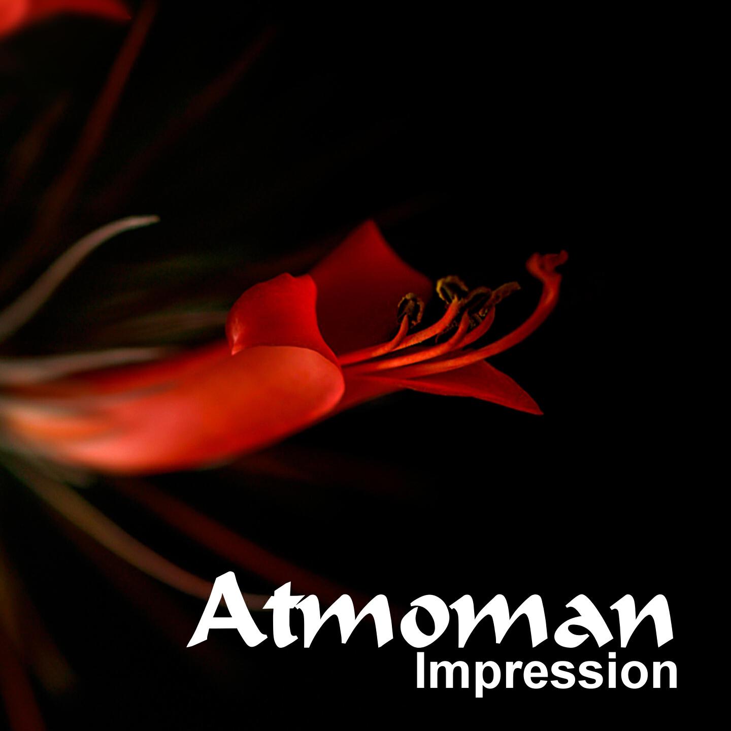 Релиз Impression
