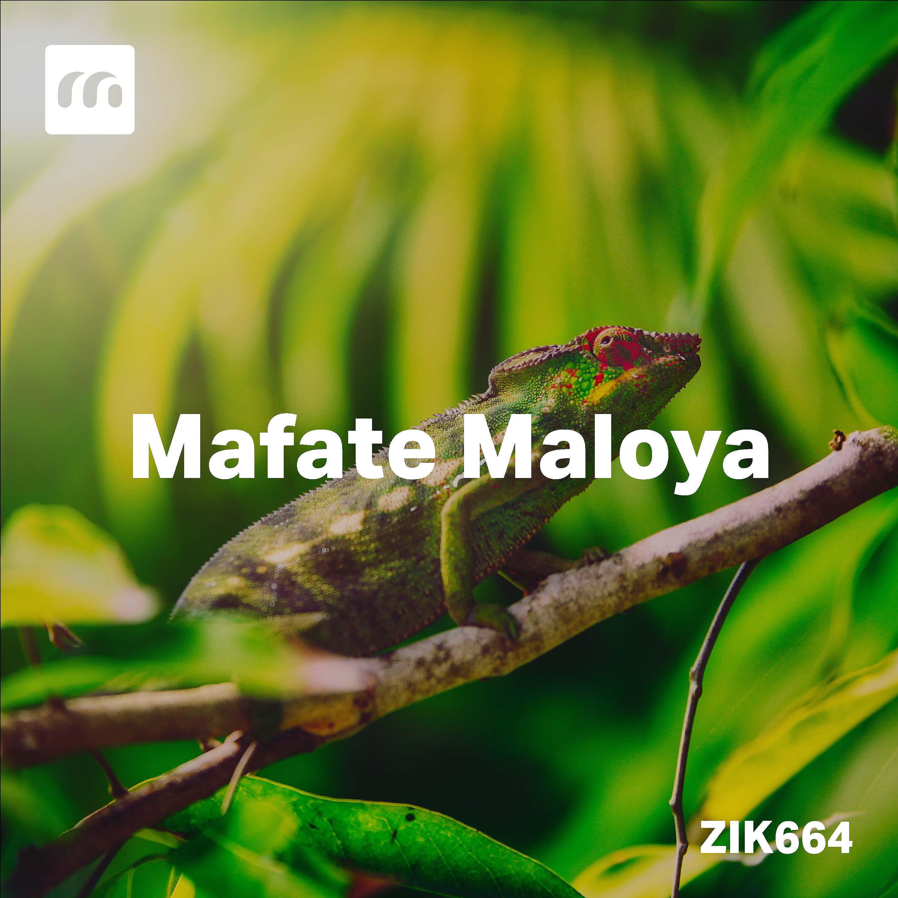 Релиз Mafate Maloya