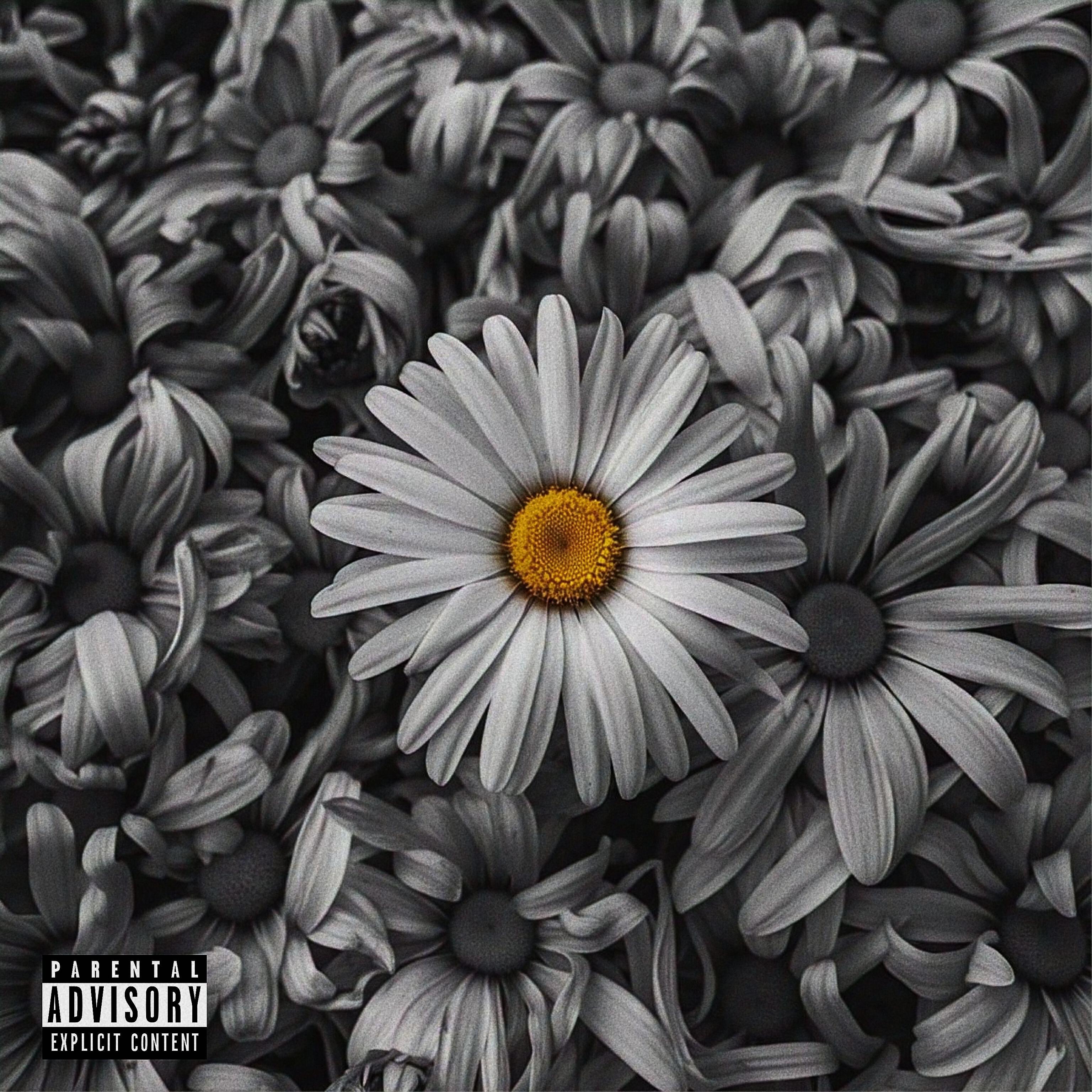 Релиз Aparição