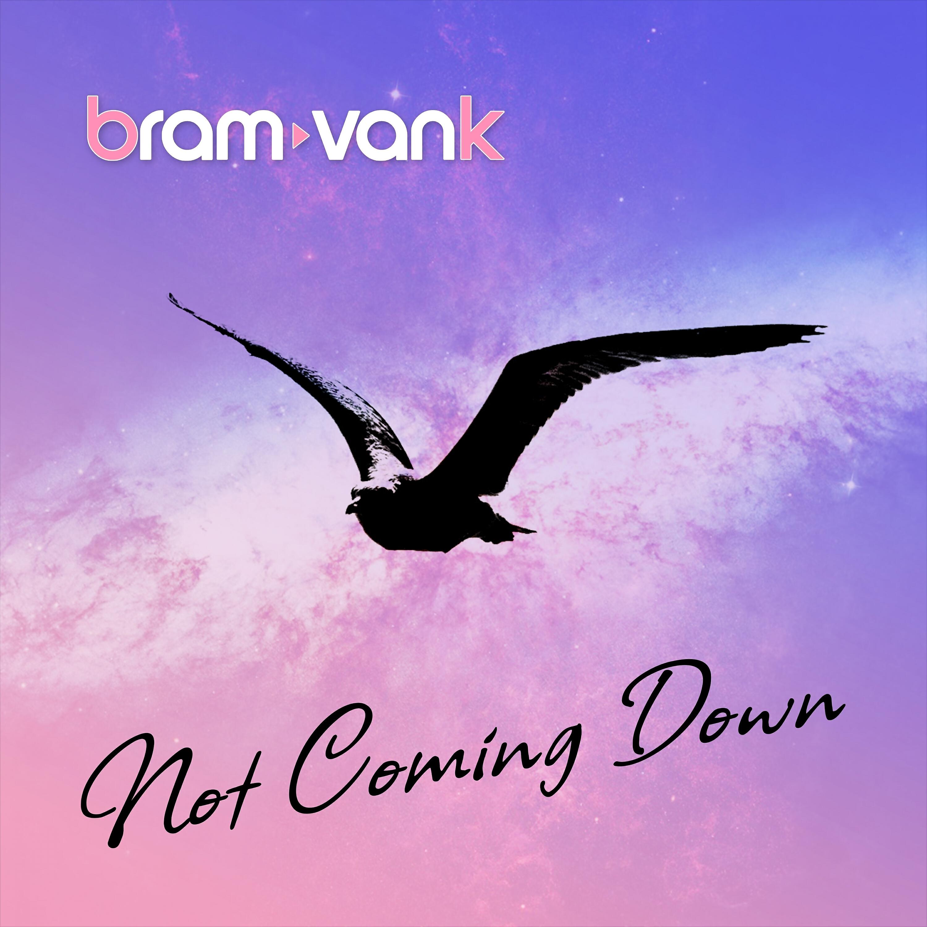 Релиз Not Coming Down