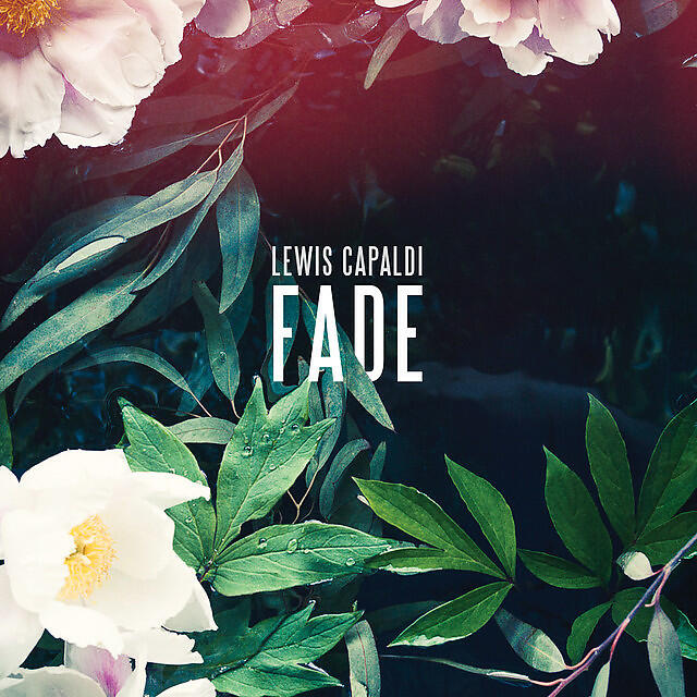 Релиз Fade