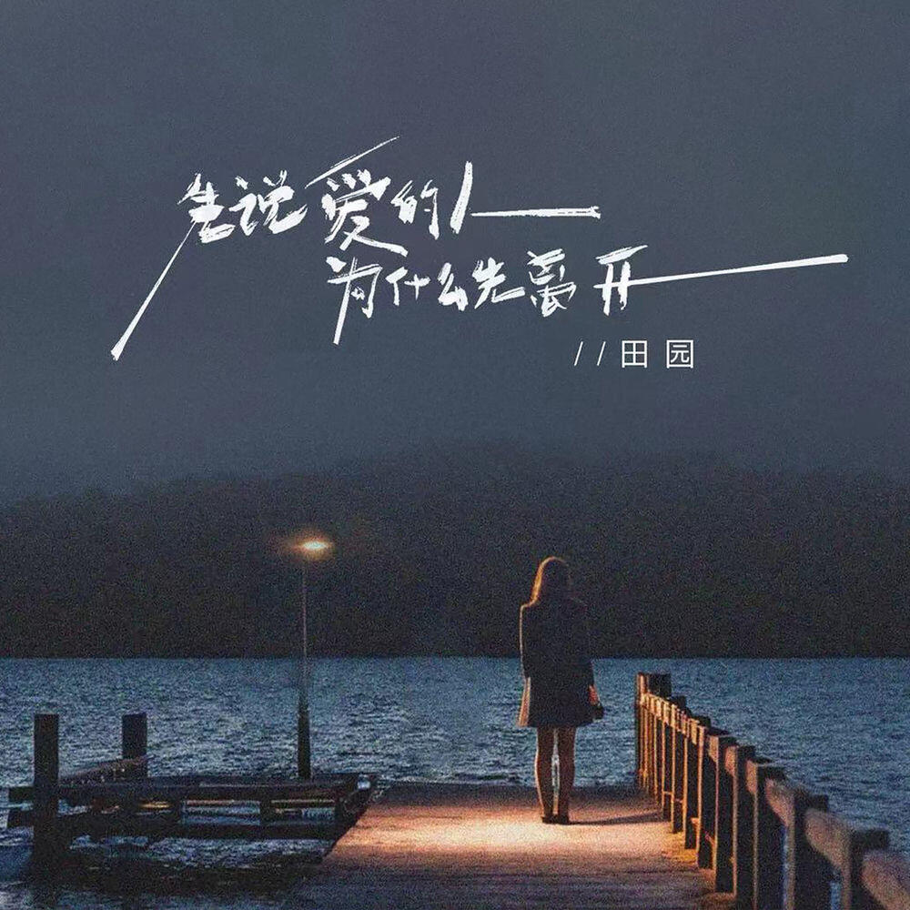 Релиз 先说爱的人为什么先离开 (DJ版)