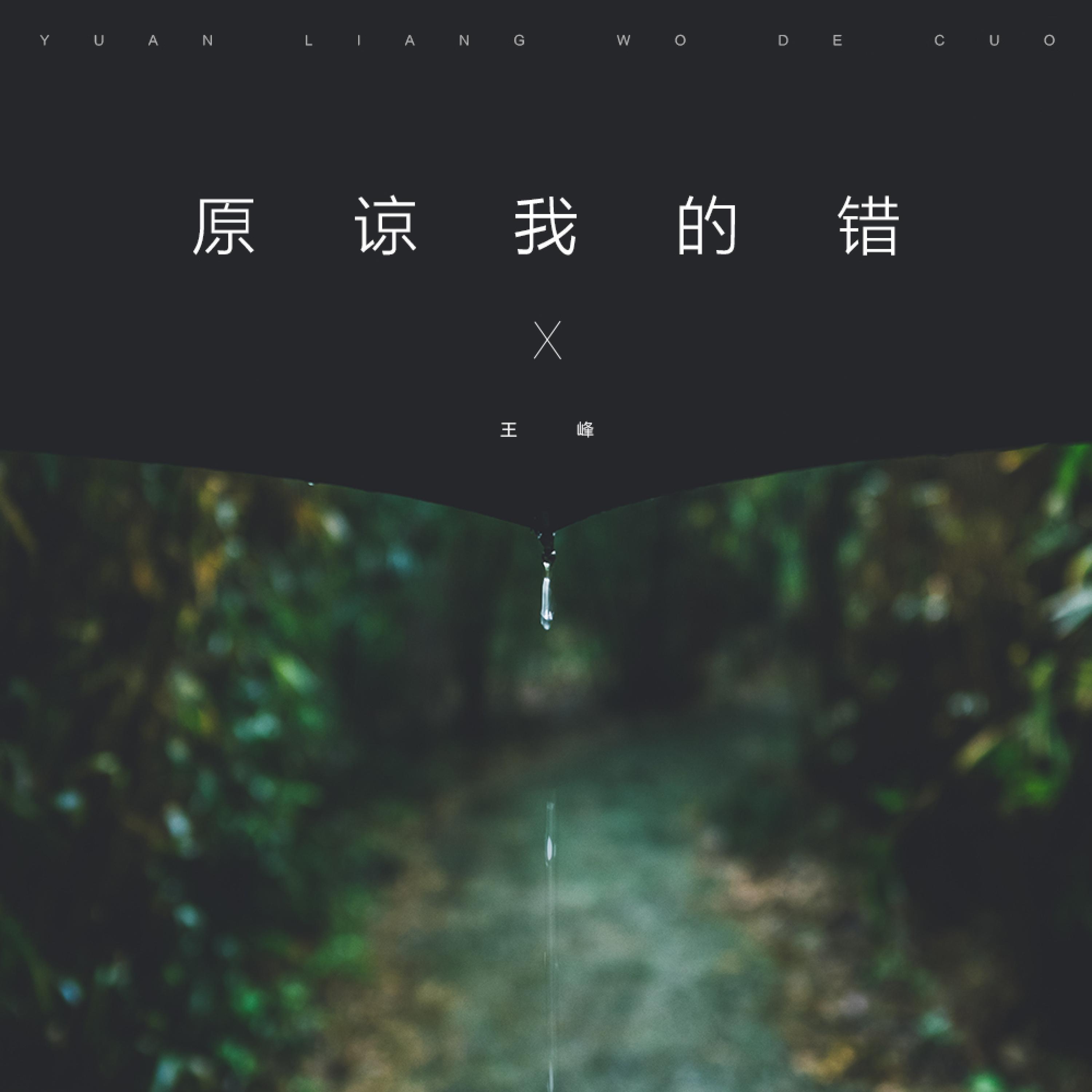 王峰