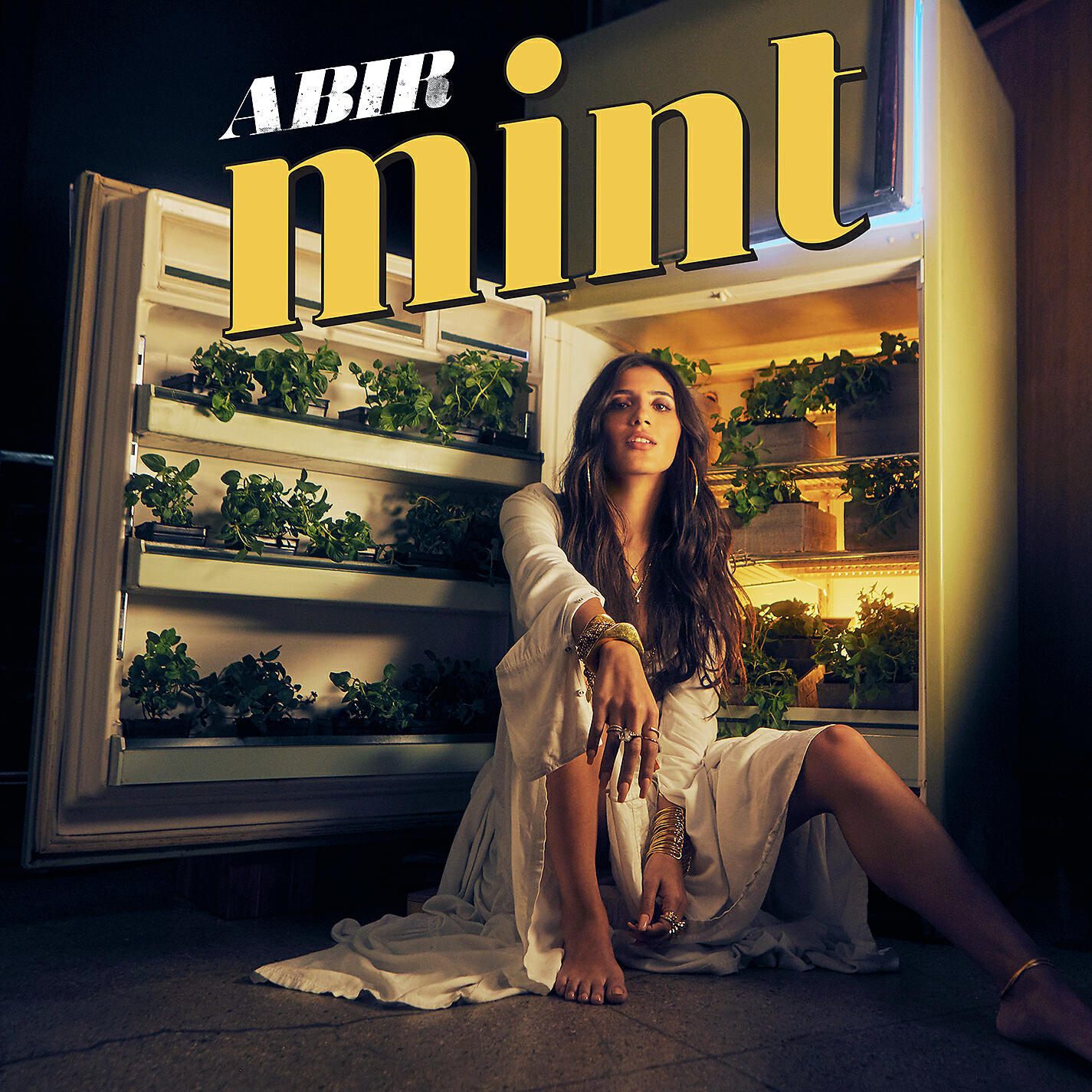 Постер альбома MINT