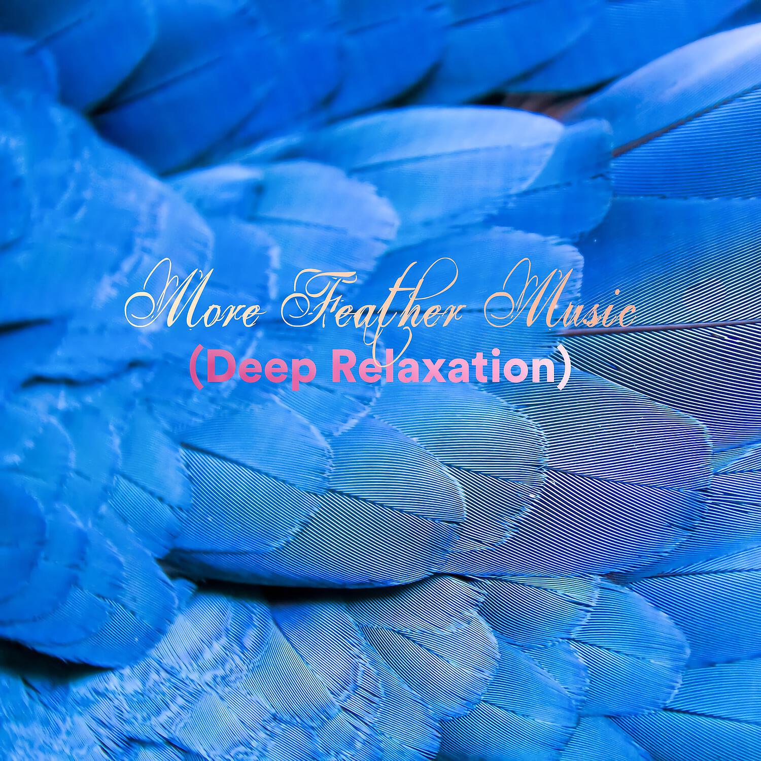 Постер альбома More Feather Music (Deep Relaxation)