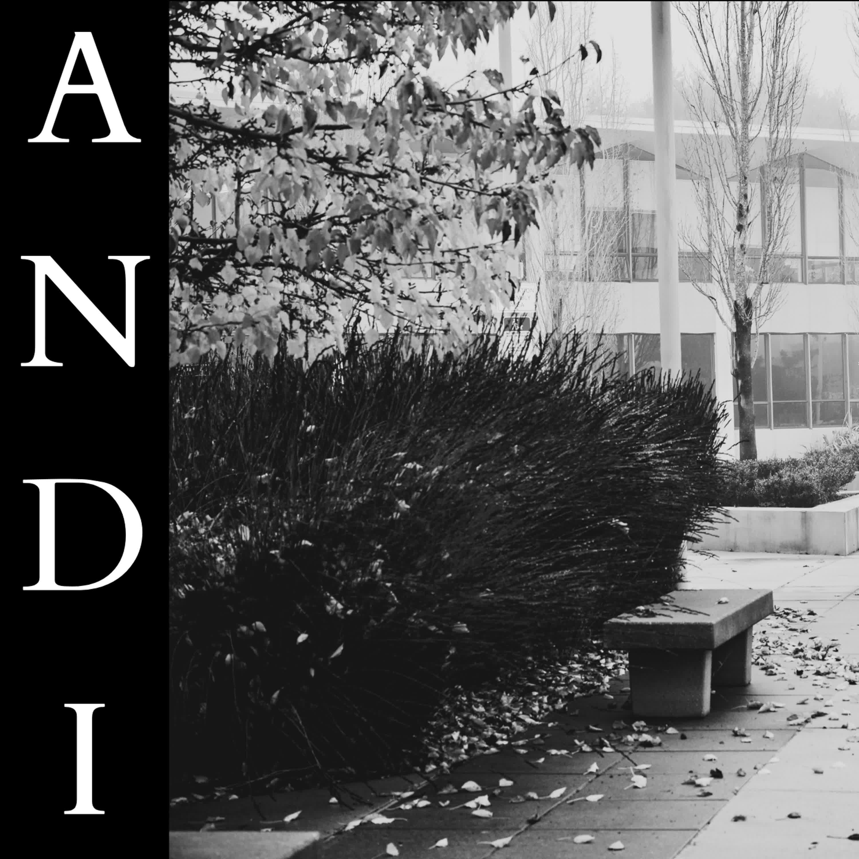 Релиз Andi