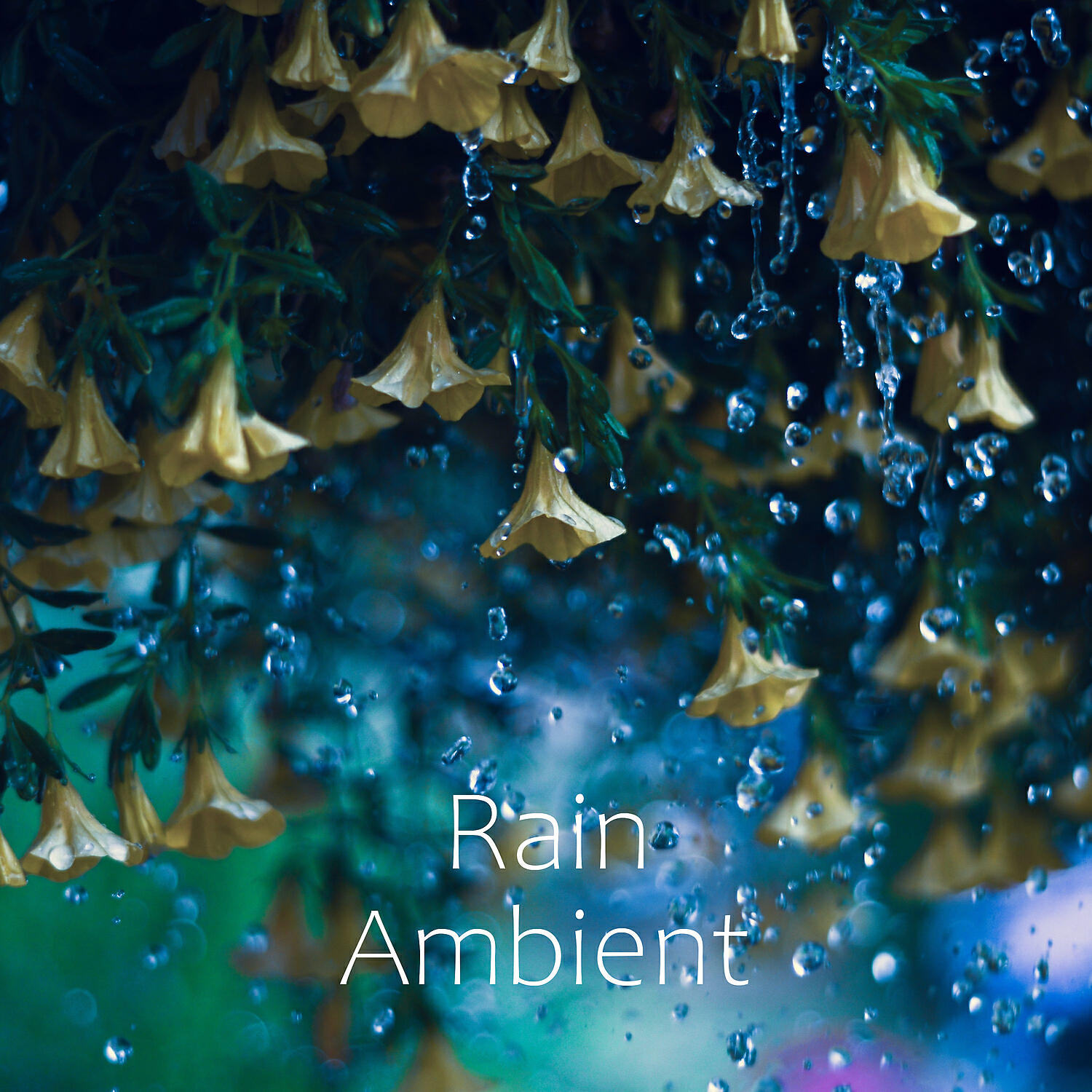 Rain Ambient