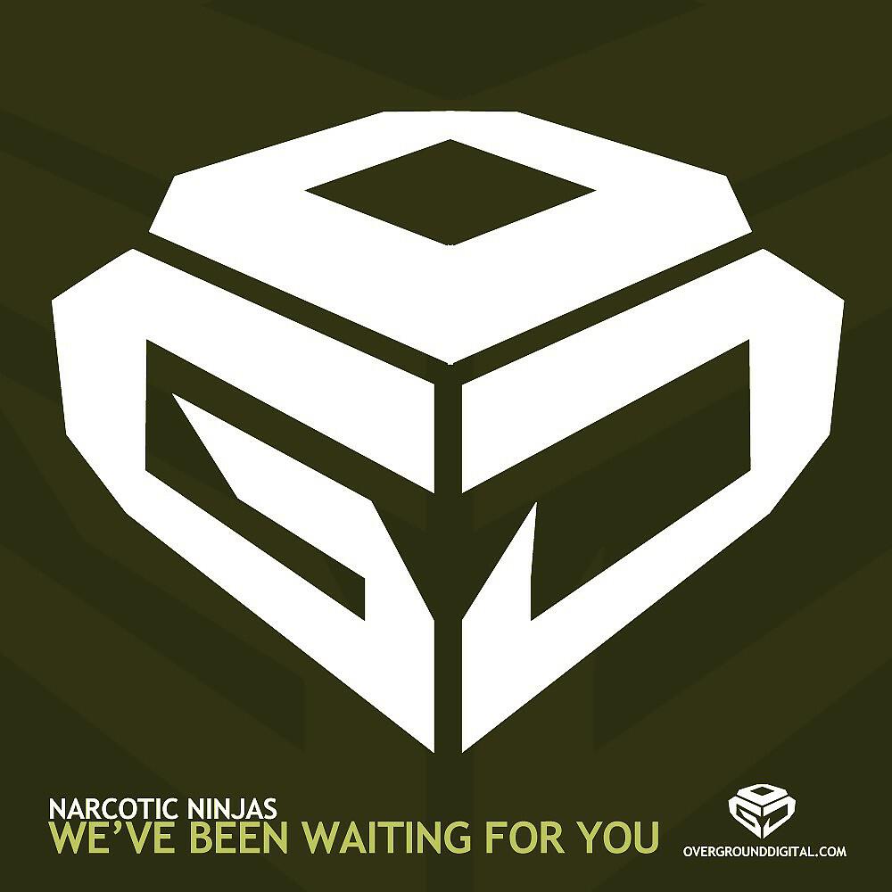 Релиз We've Been Waiting for You