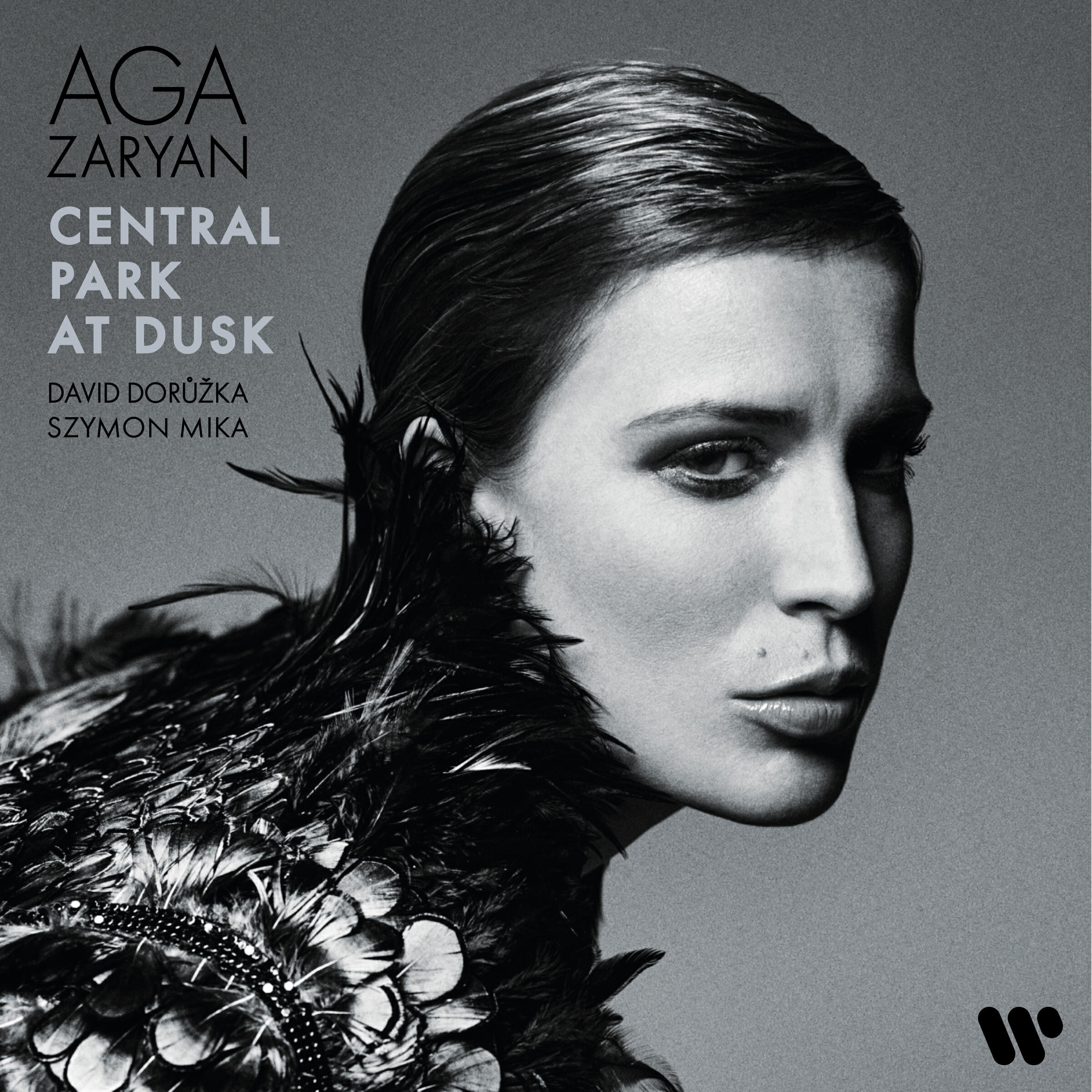 Релиз Central Park at Dusk