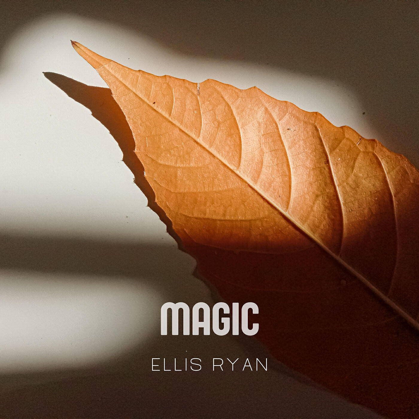 Ellis Ryan