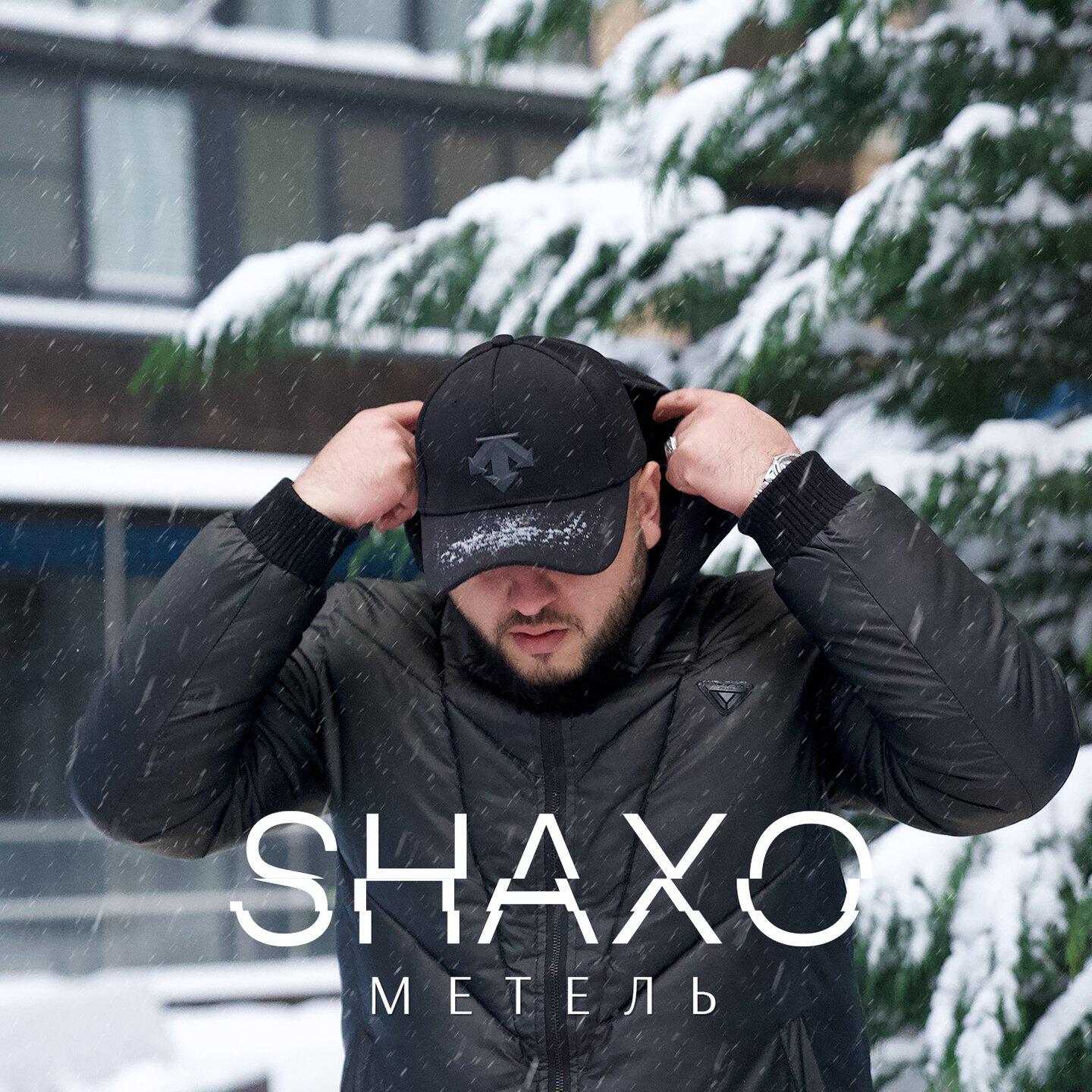 Релиз Метель