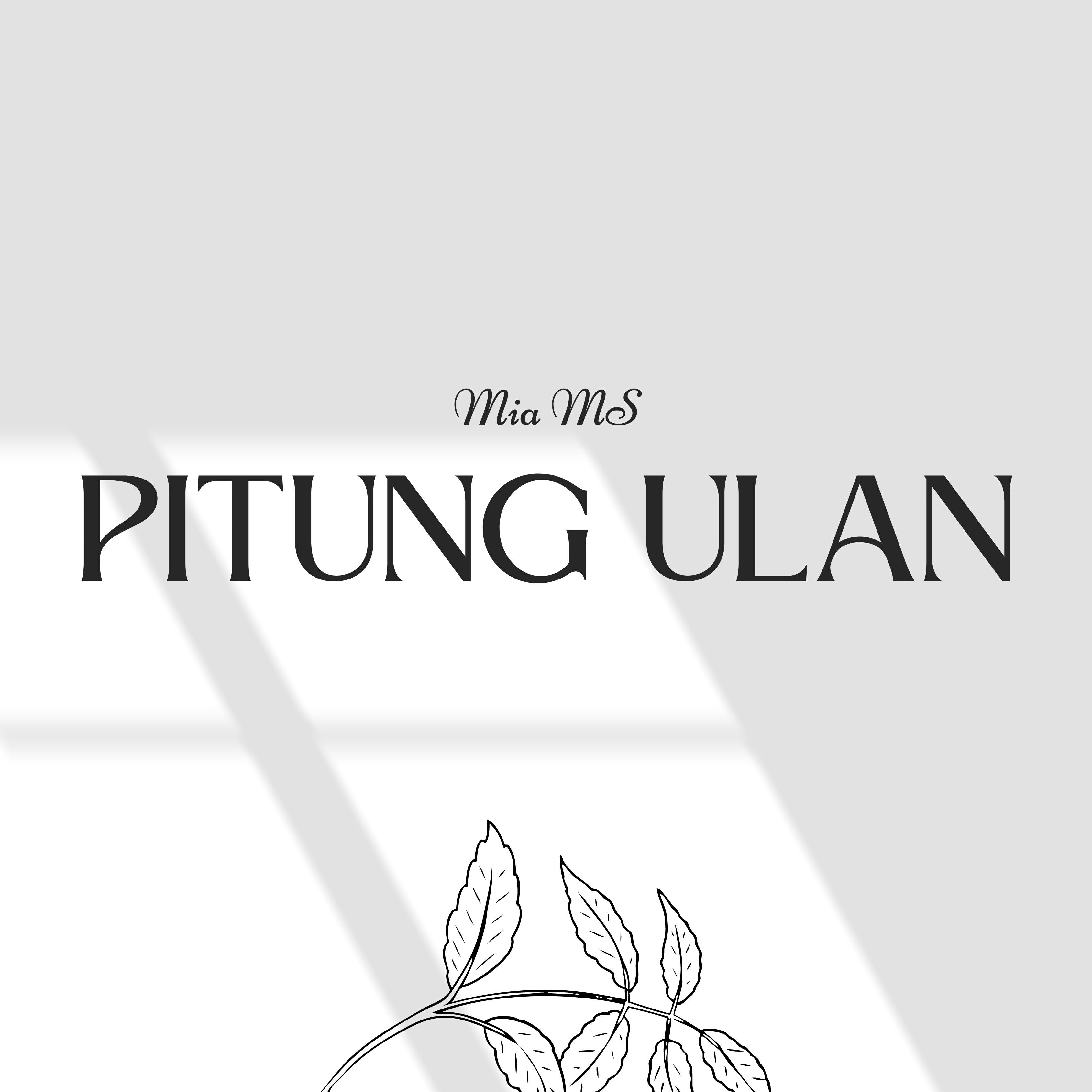 Релиз Pitung Ulan