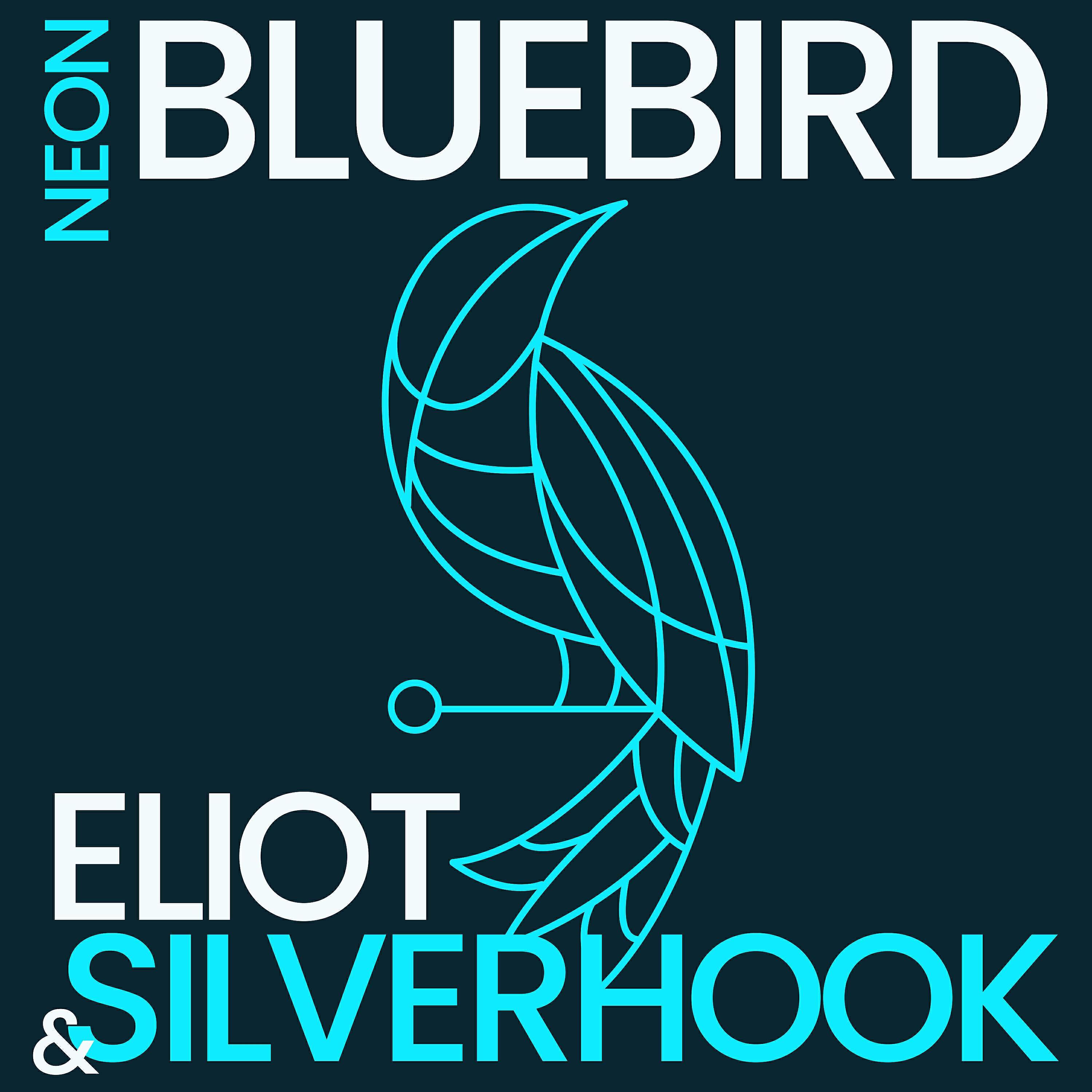 Silverhook