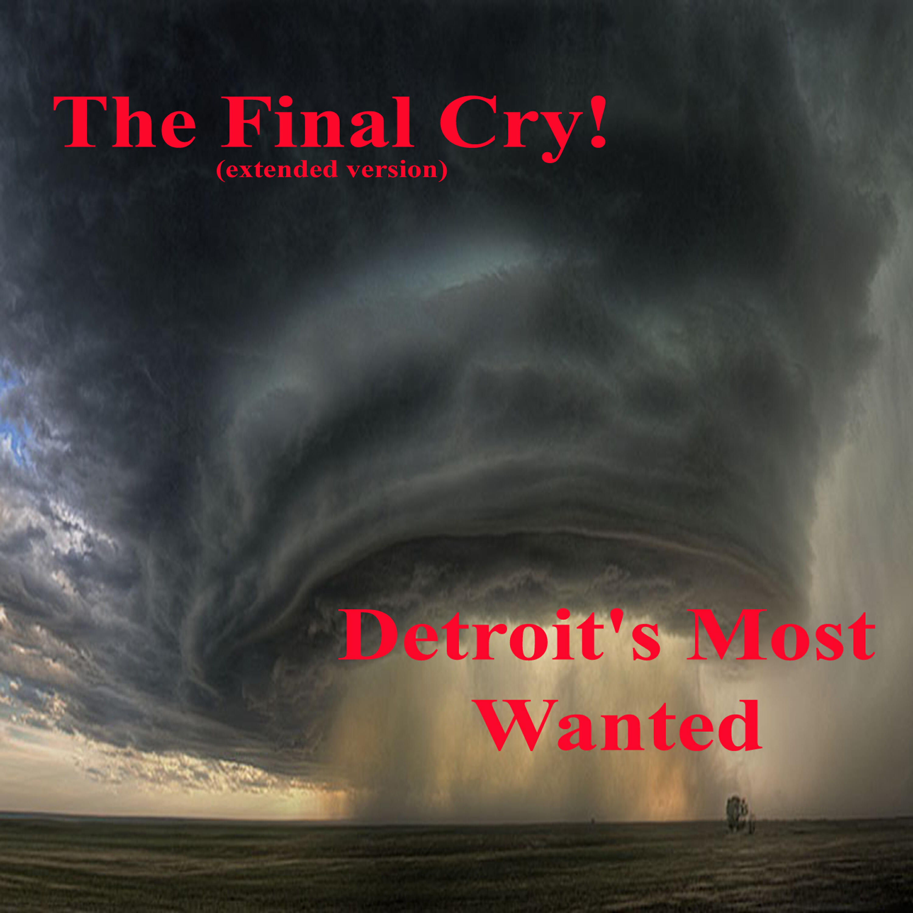 Detroit's Most Wanted