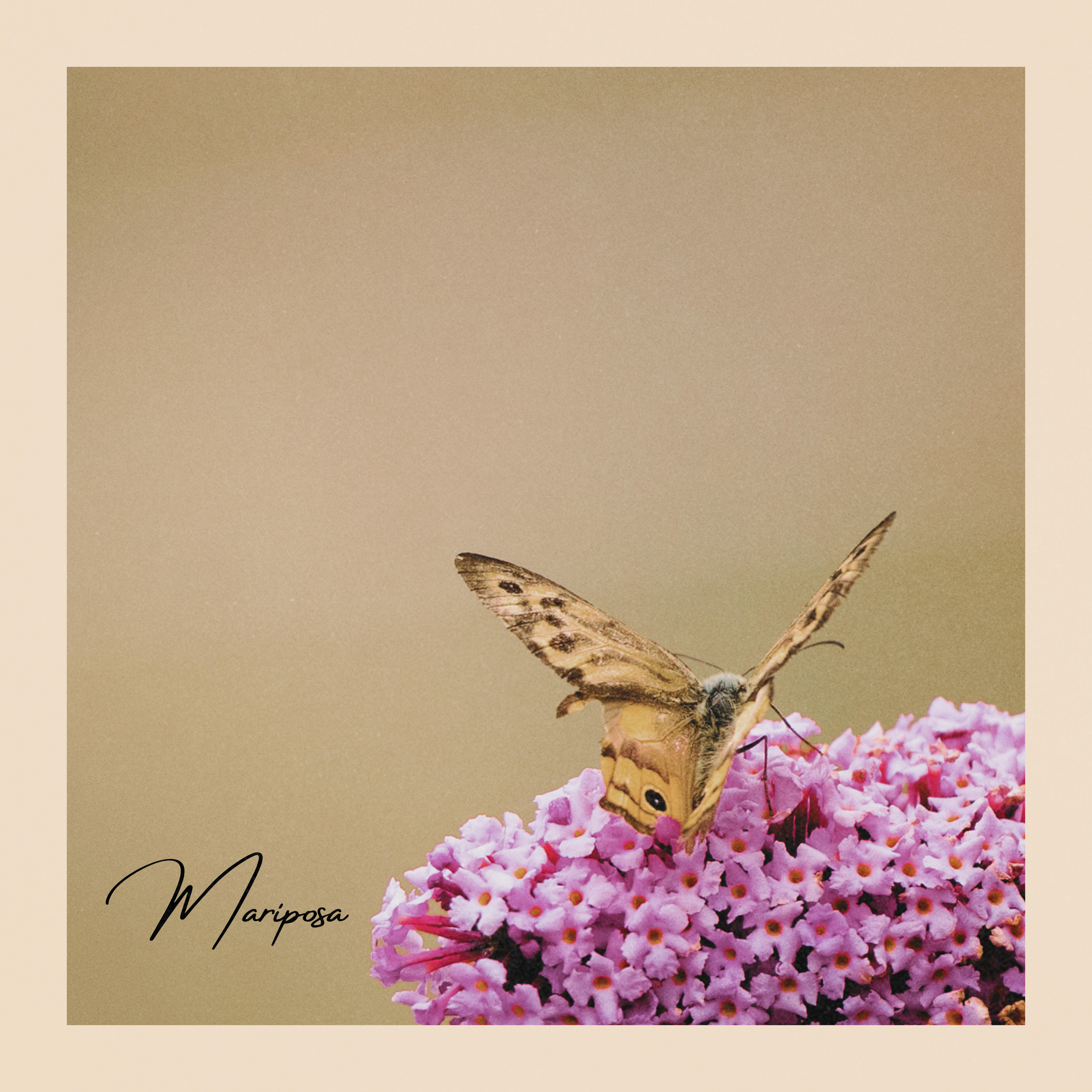 Релиз Mariposa