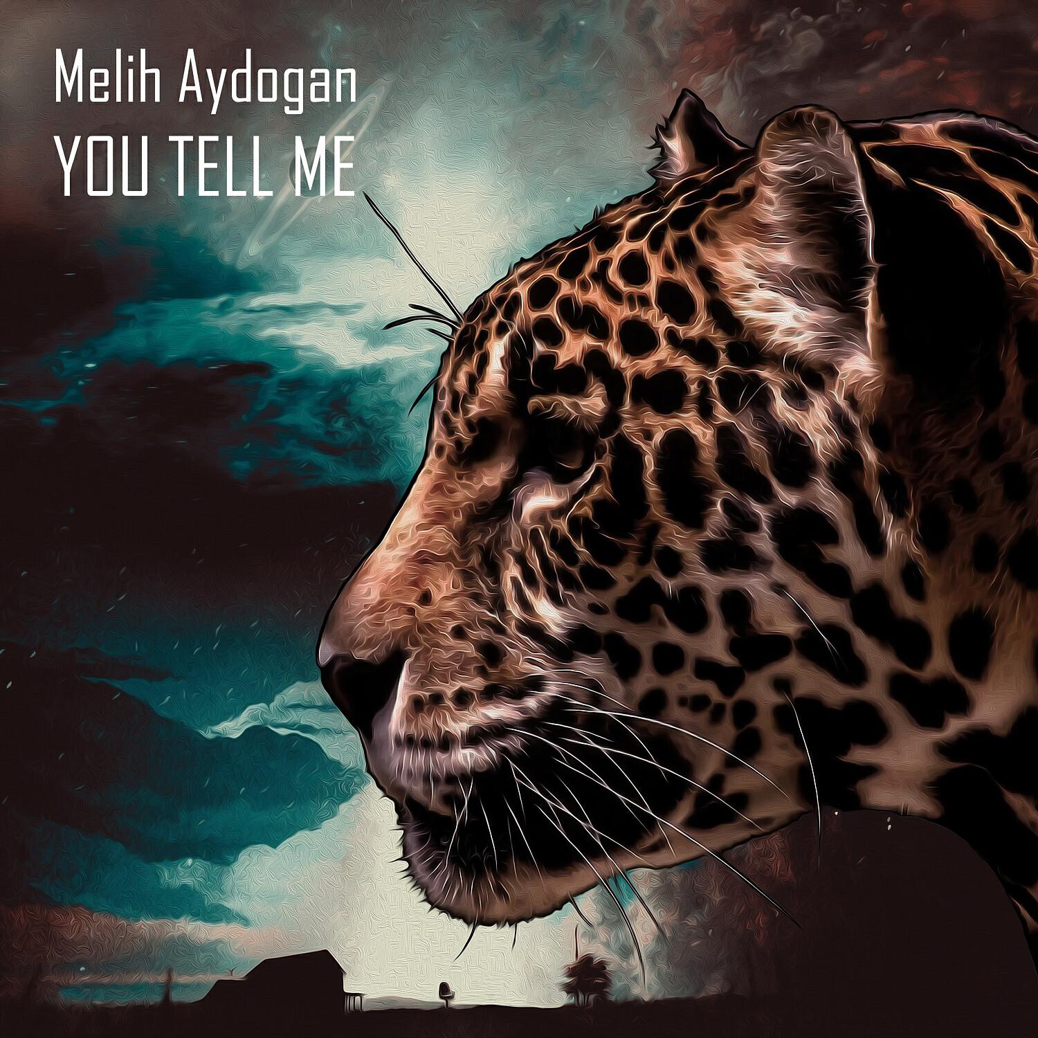 Релиз You Tell Me