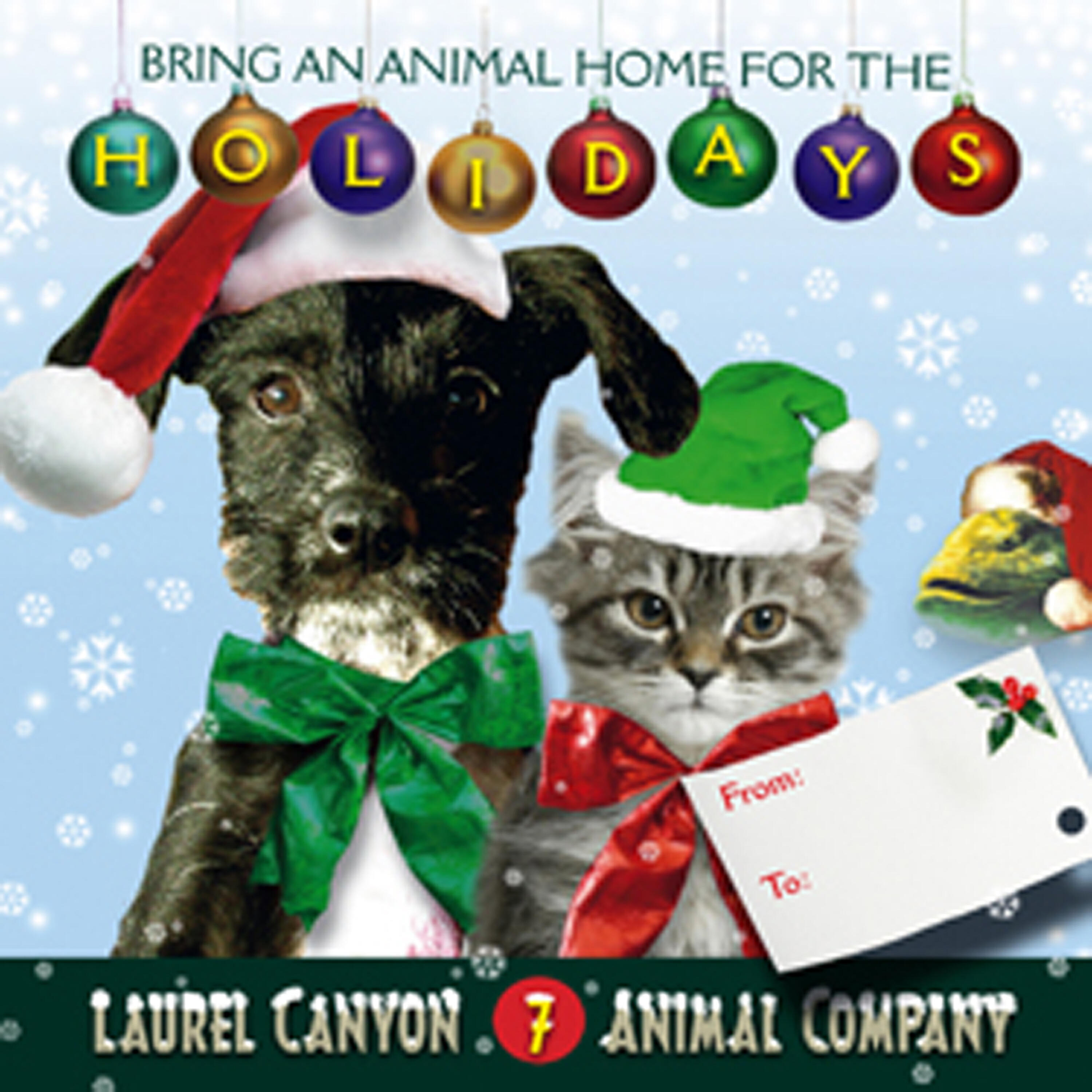 Релиз Bring an Animal Home for the Holidays
