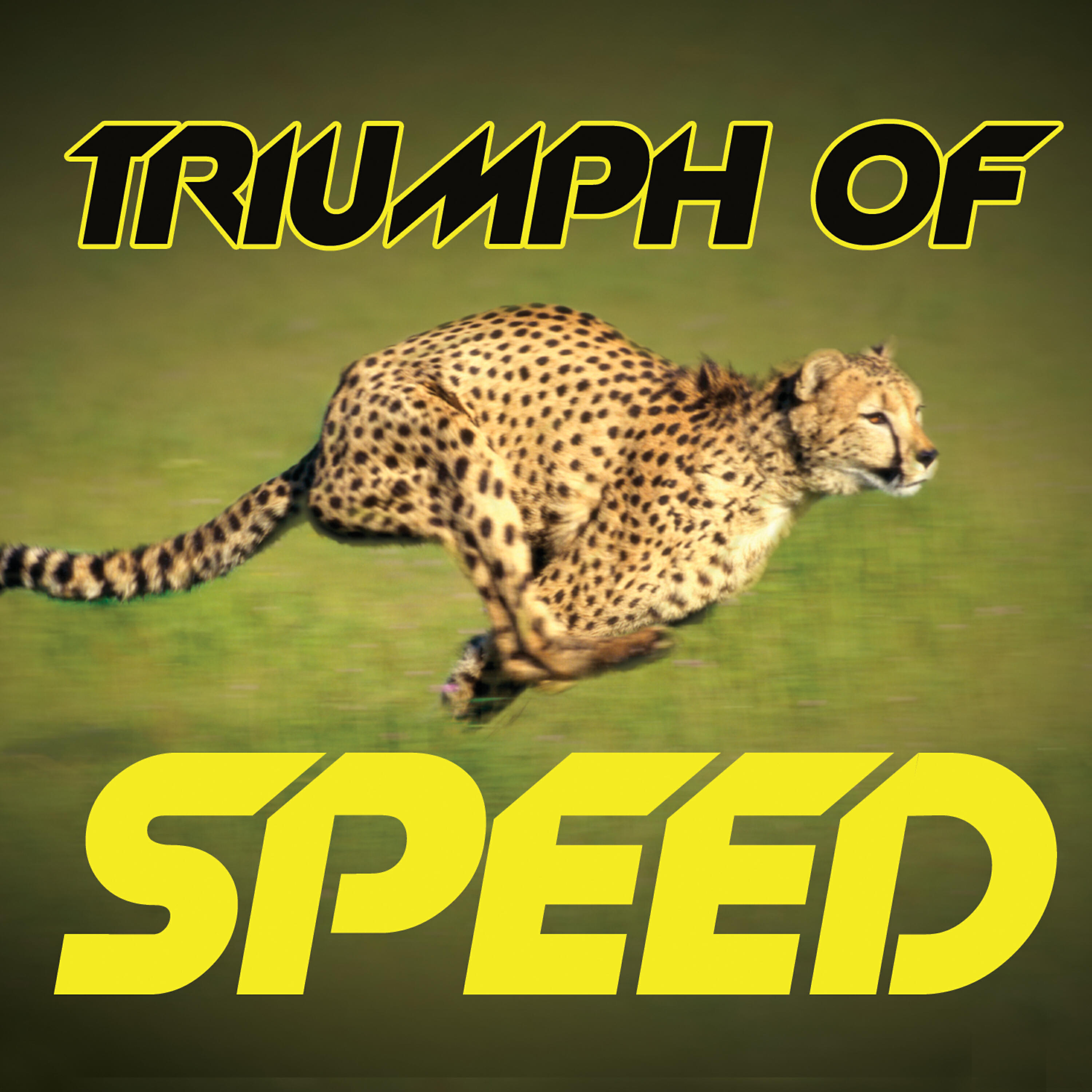 Релиз Triumph of Speed