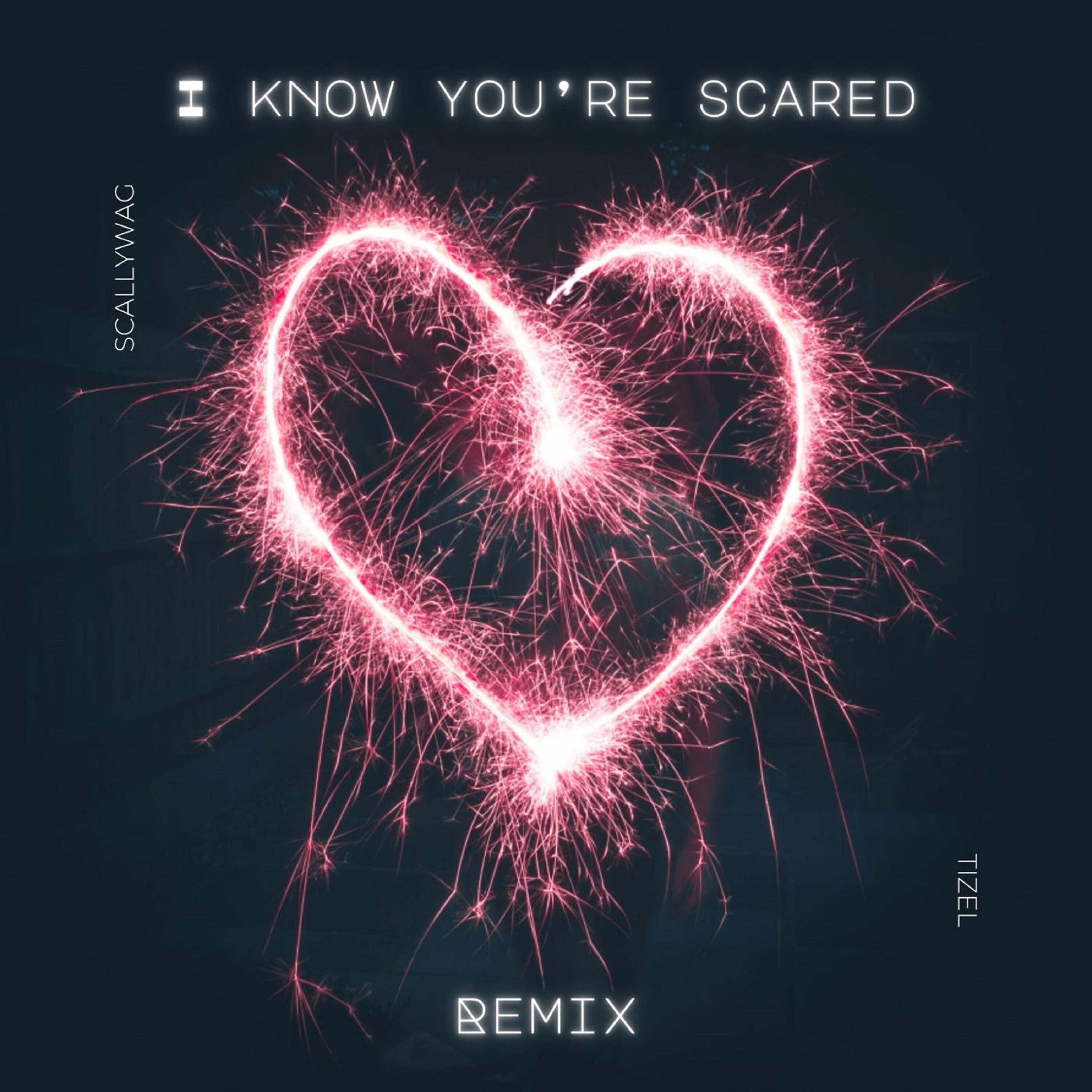 Релиз I Know You're Scared (Remix)