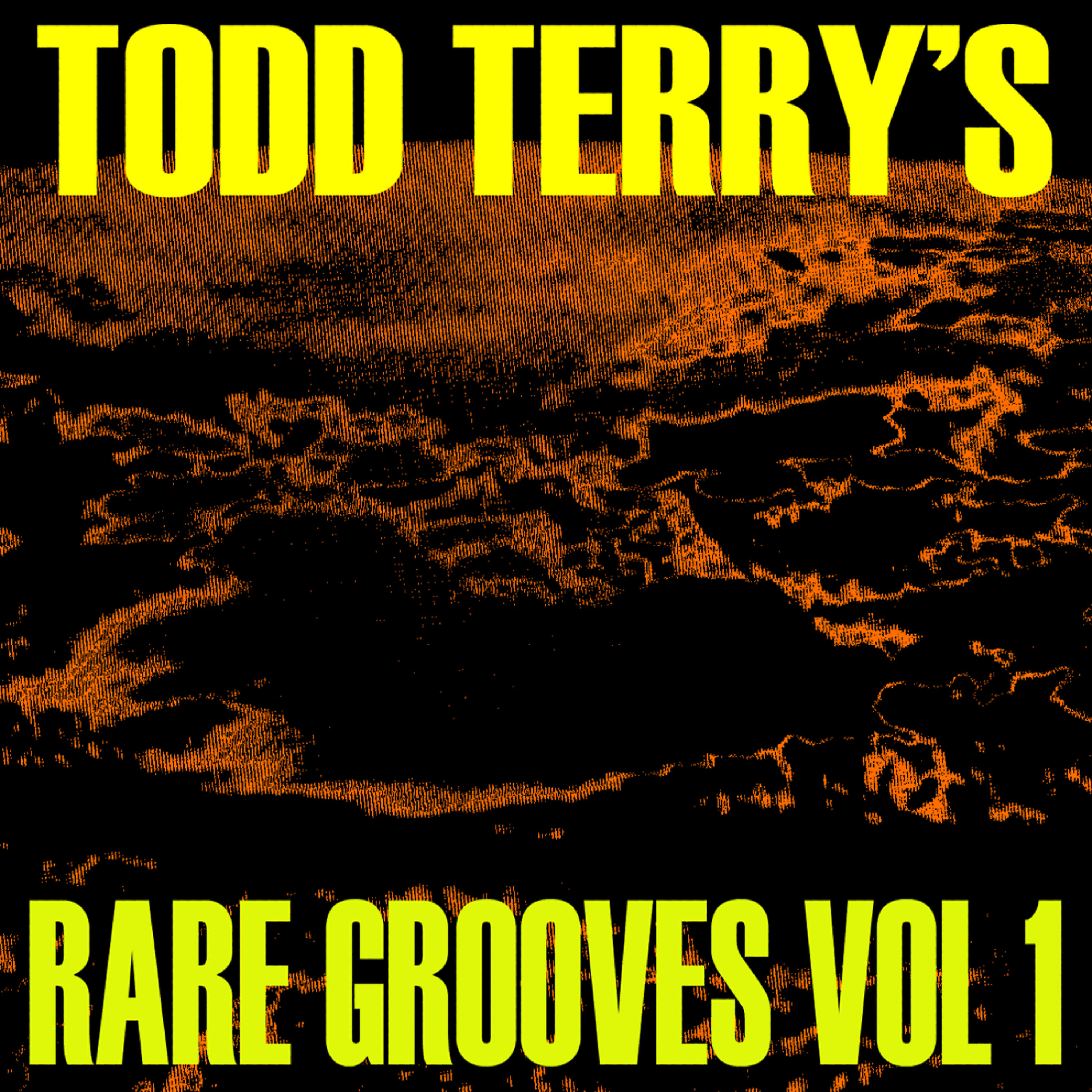 Релиз Todd Terry's Rare Grooves Vol I