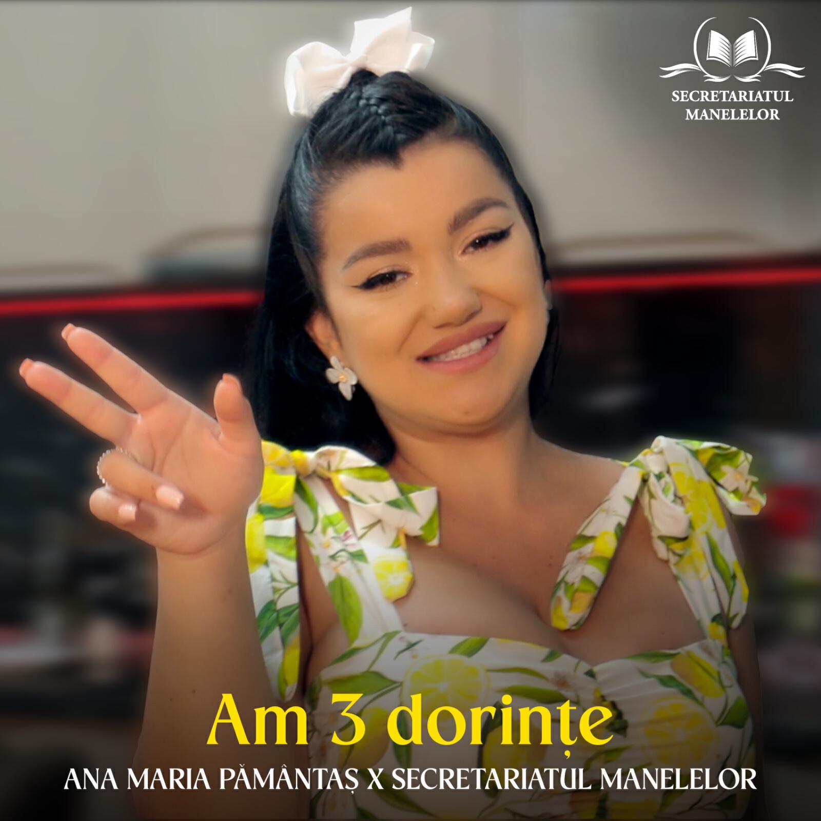 Релиз Am 3 dorințe