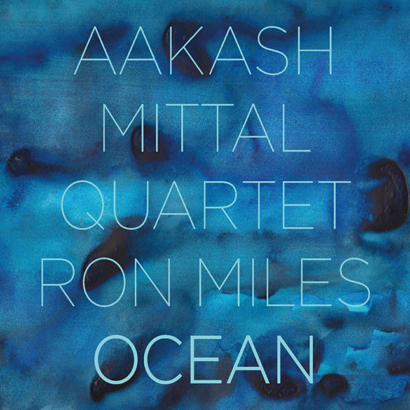 The Aakash Mittal Quartet