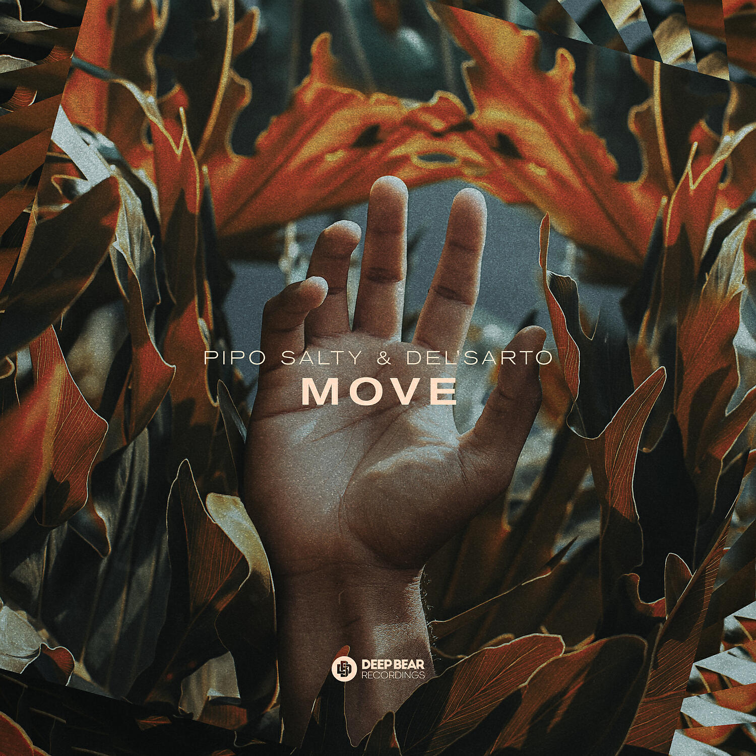 Релиз Move
