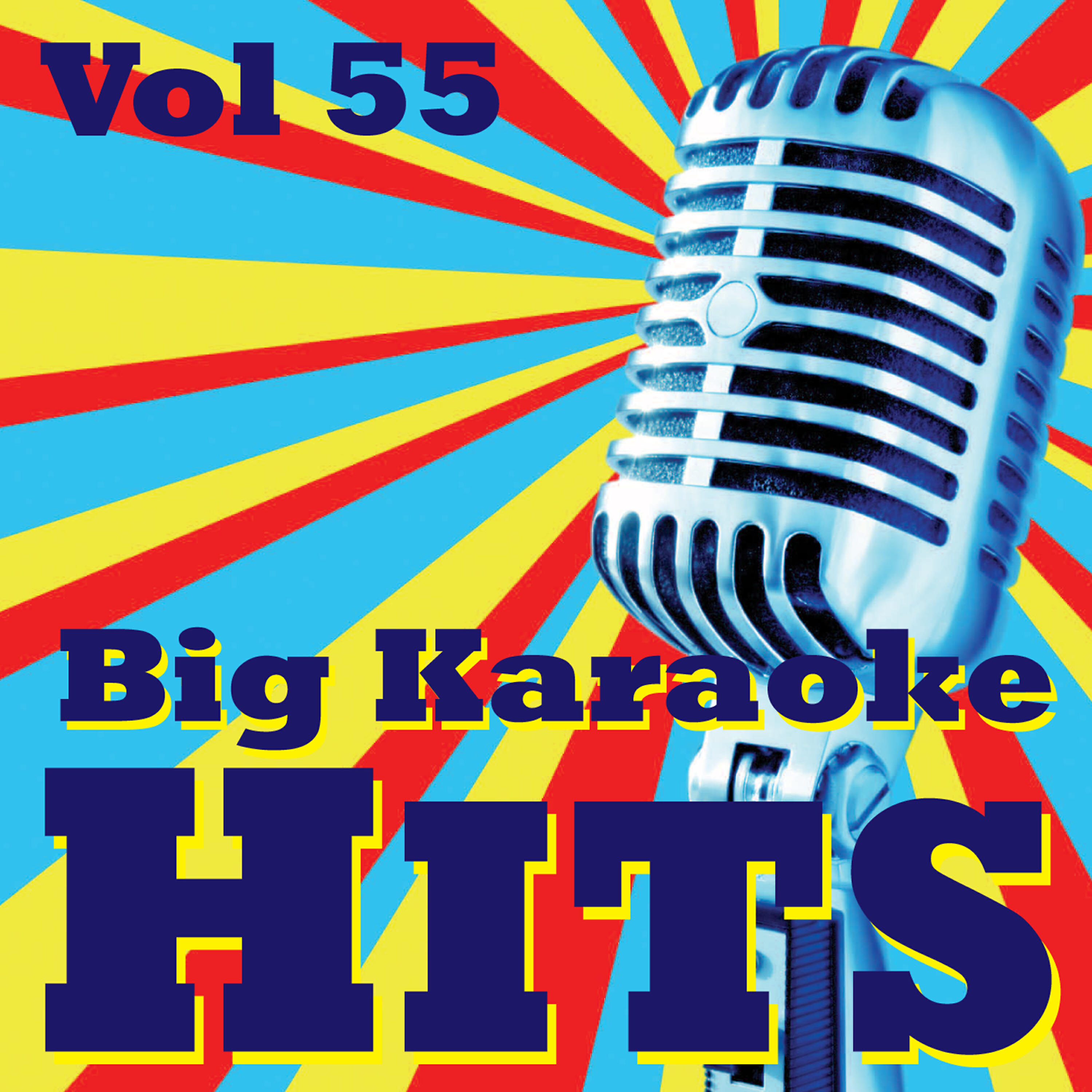 Релиз Big Karaoke Hits Vol.55