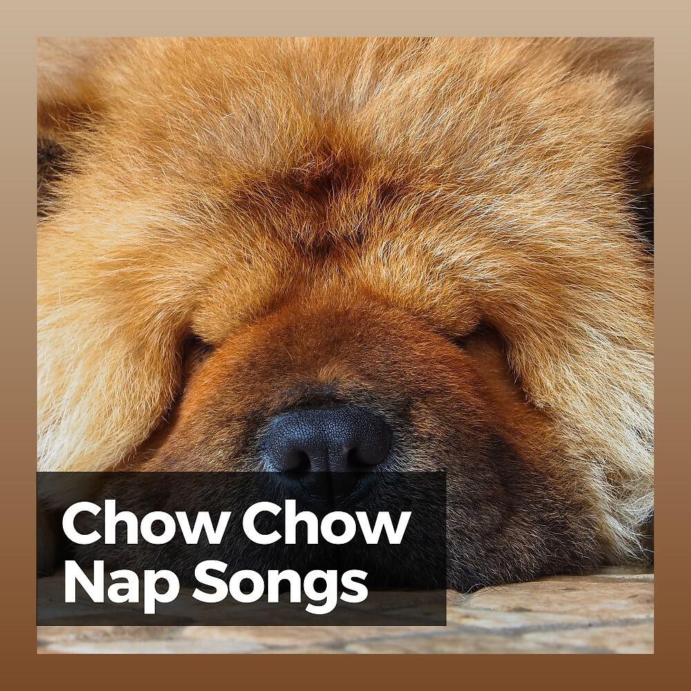 Релиз Chow Chow Nap Songs