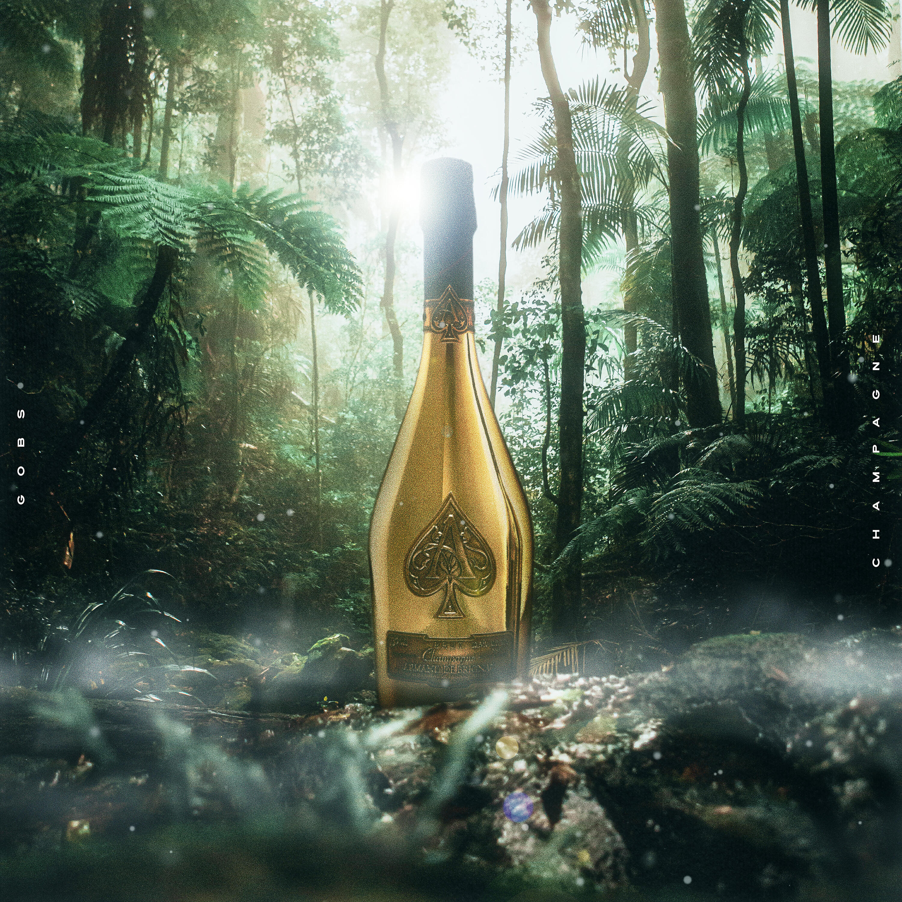 Релиз Champagne