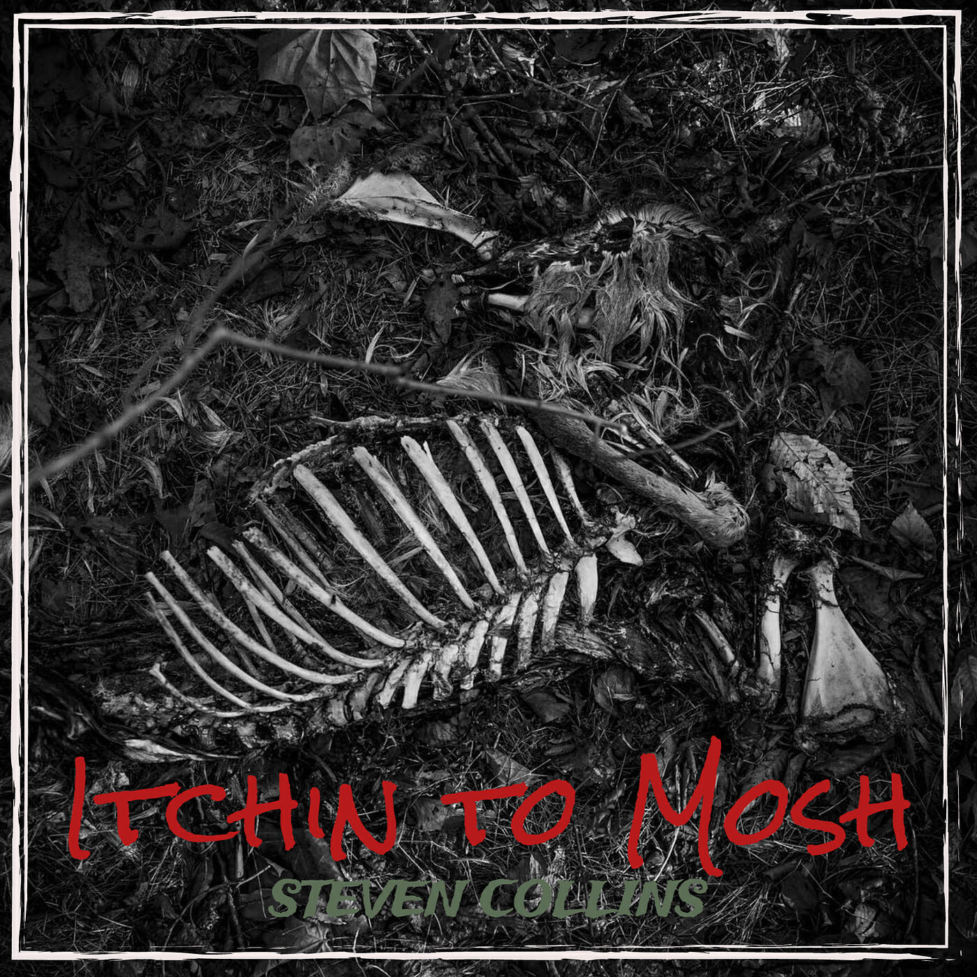 Релиз Itchin to Mosh