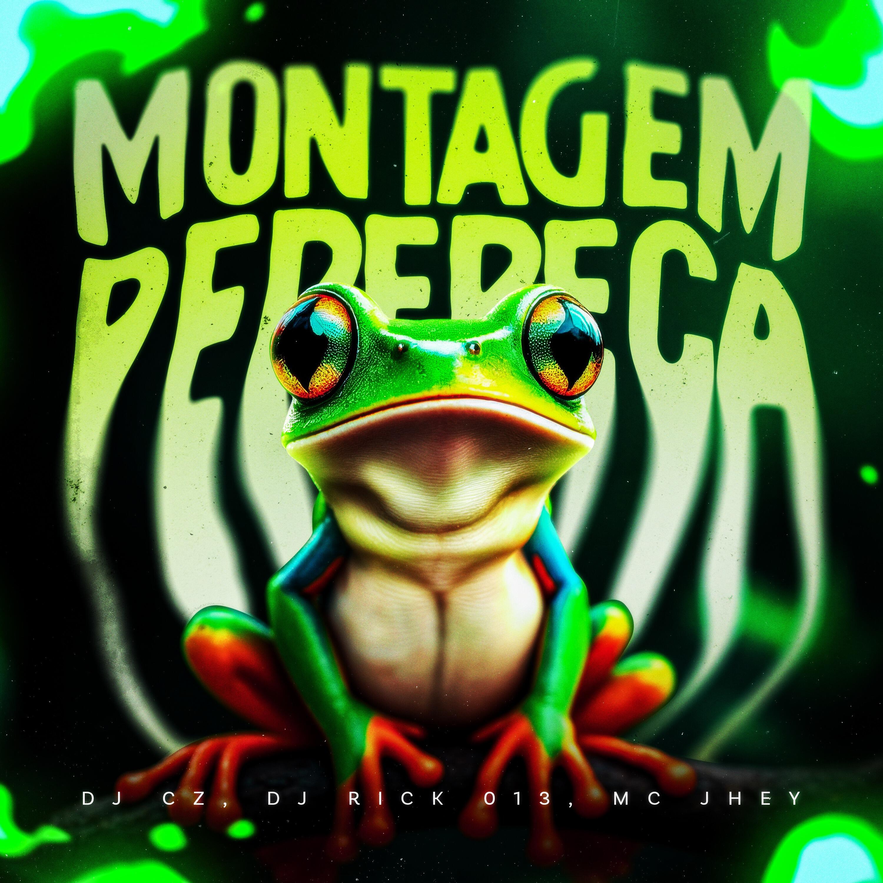 Релиз MONTAGEM PERERECA
