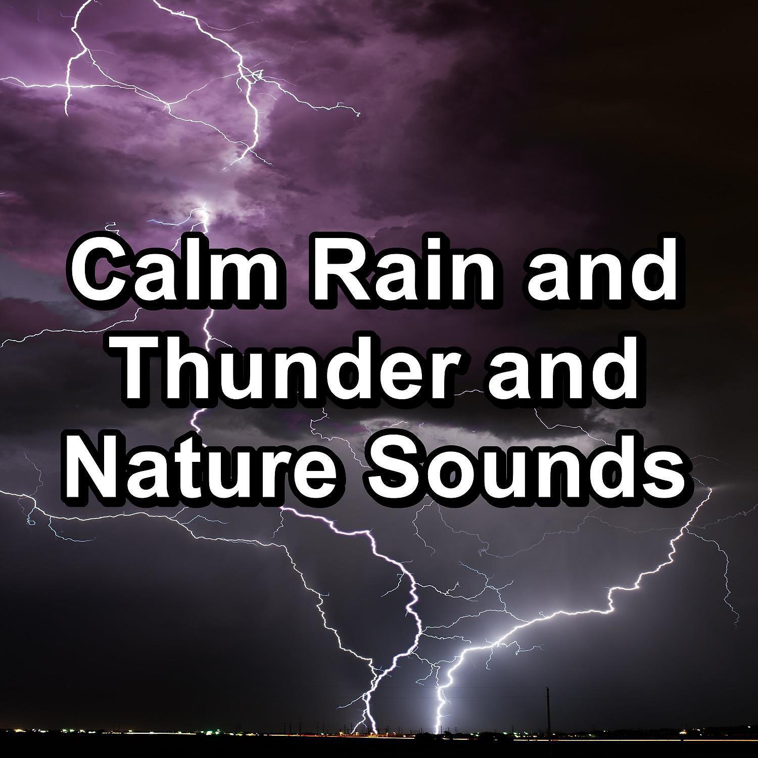 Релиз Calm Rain and Thunder and Nature Sounds
