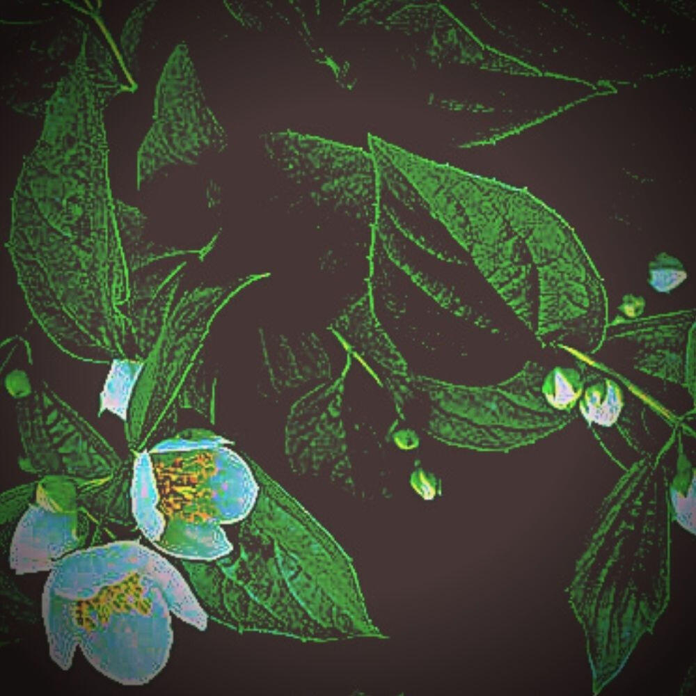 Релиз Dehesa