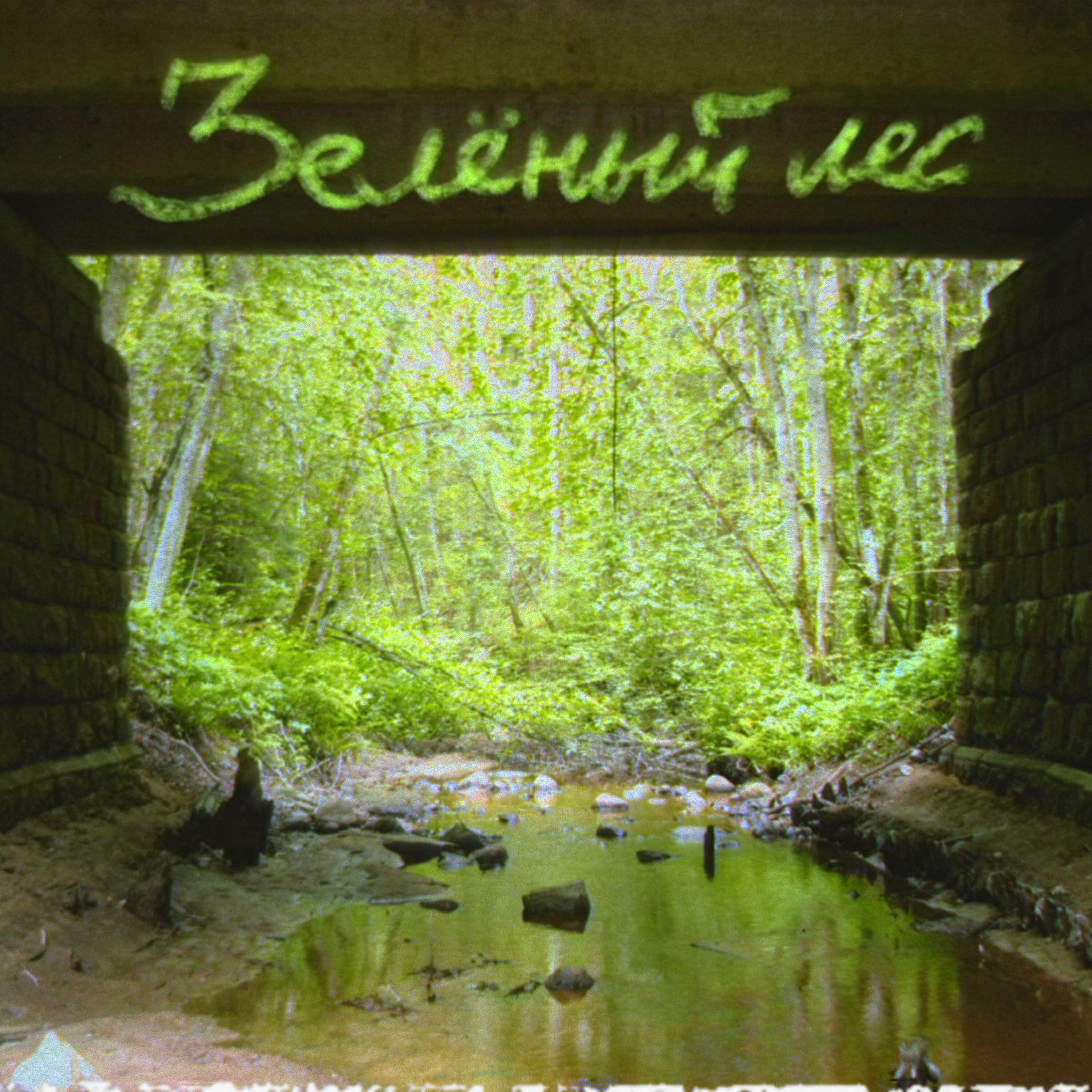 Релиз ЗЕЛЁНЫЙ ЛЕС