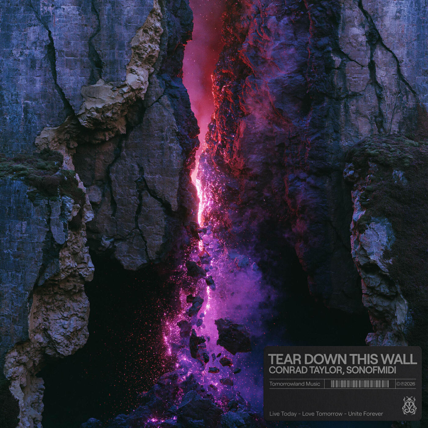 Релиз TEAR DOWN THIS WALL