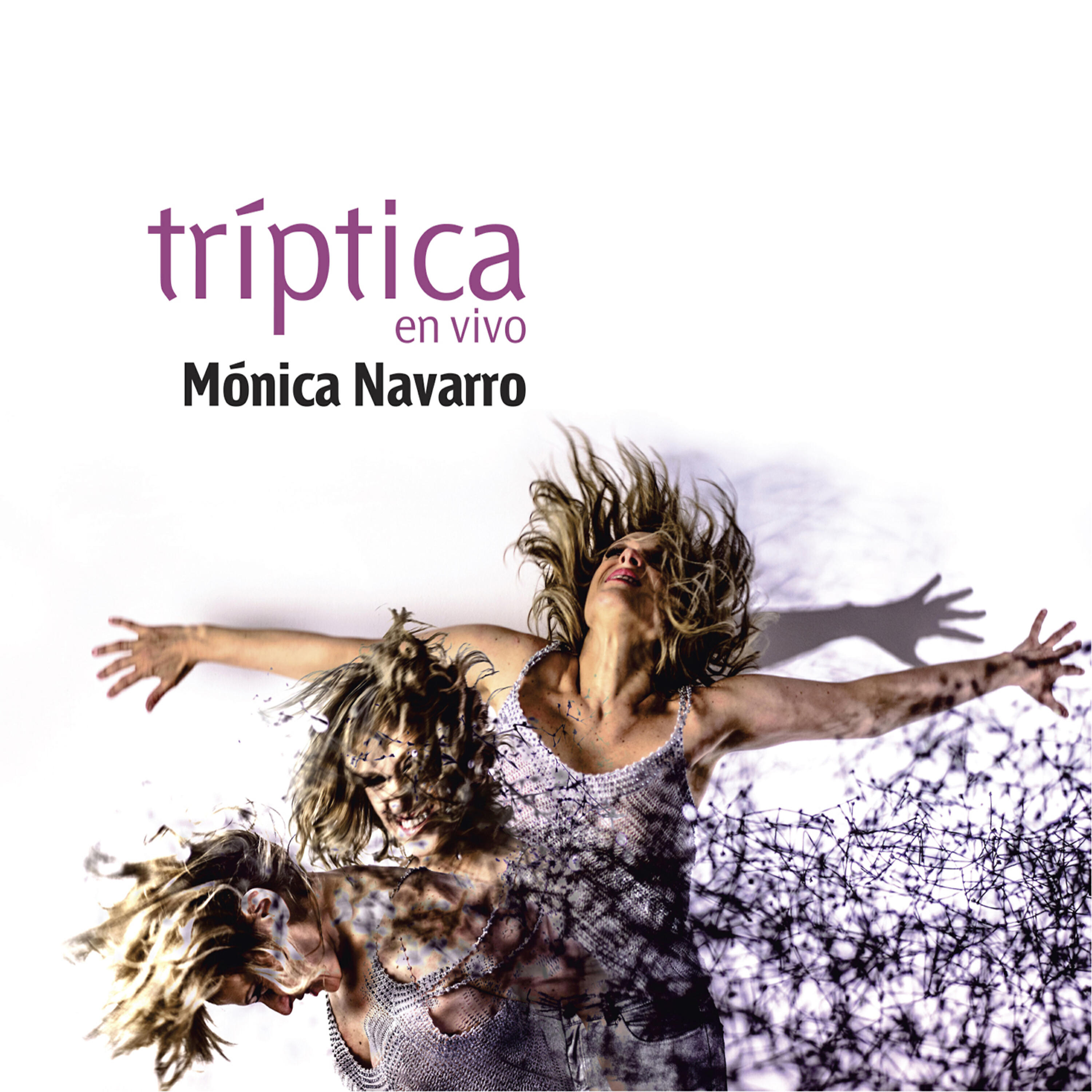 Релиз Triptica