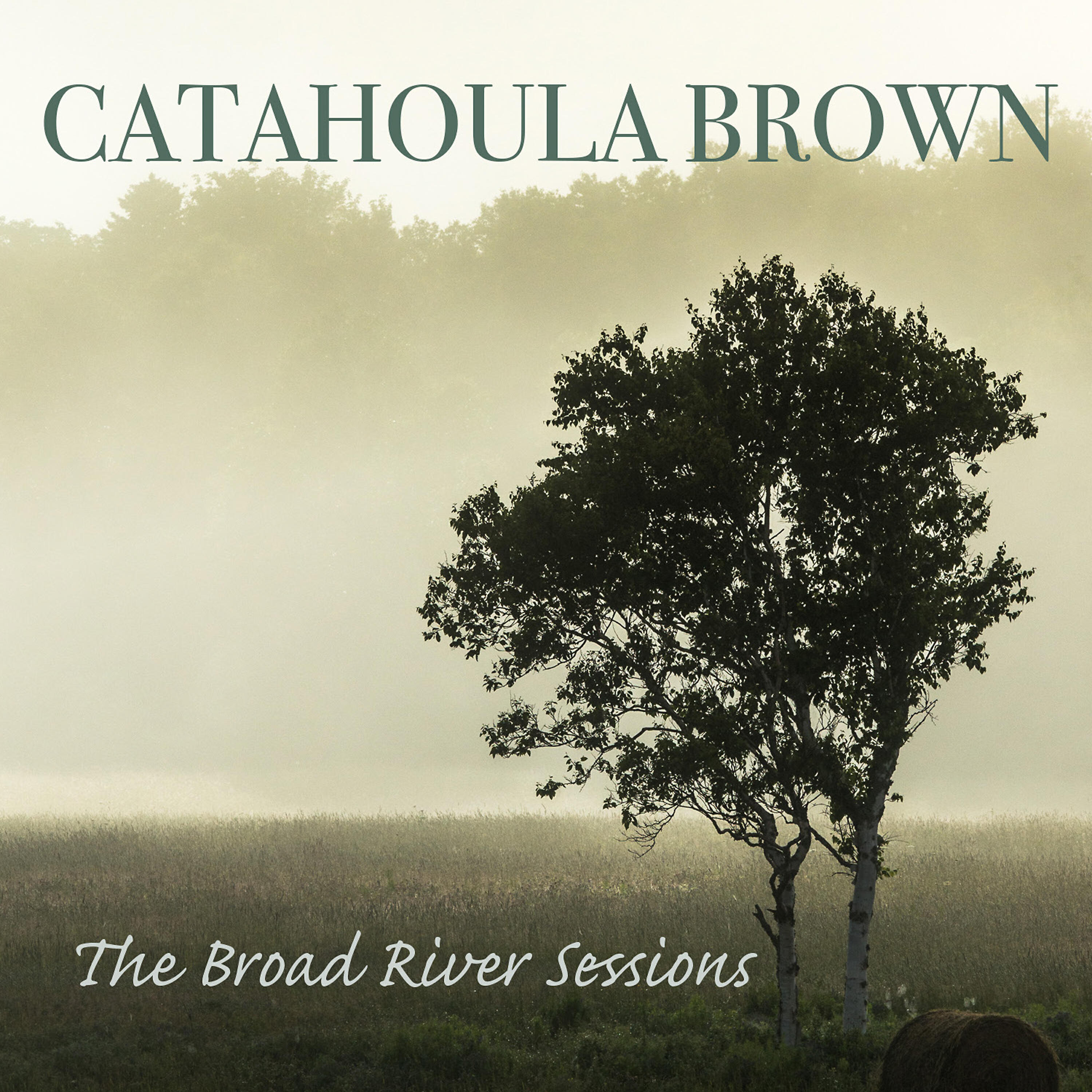Catahoula Brown