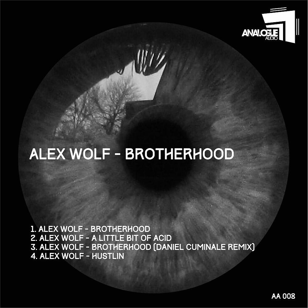 Релиз Brotherhood